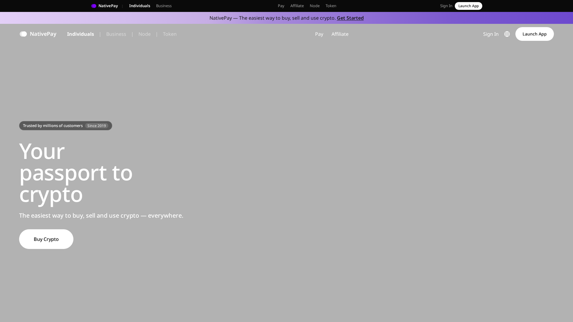 Screenshot of nativepay.net