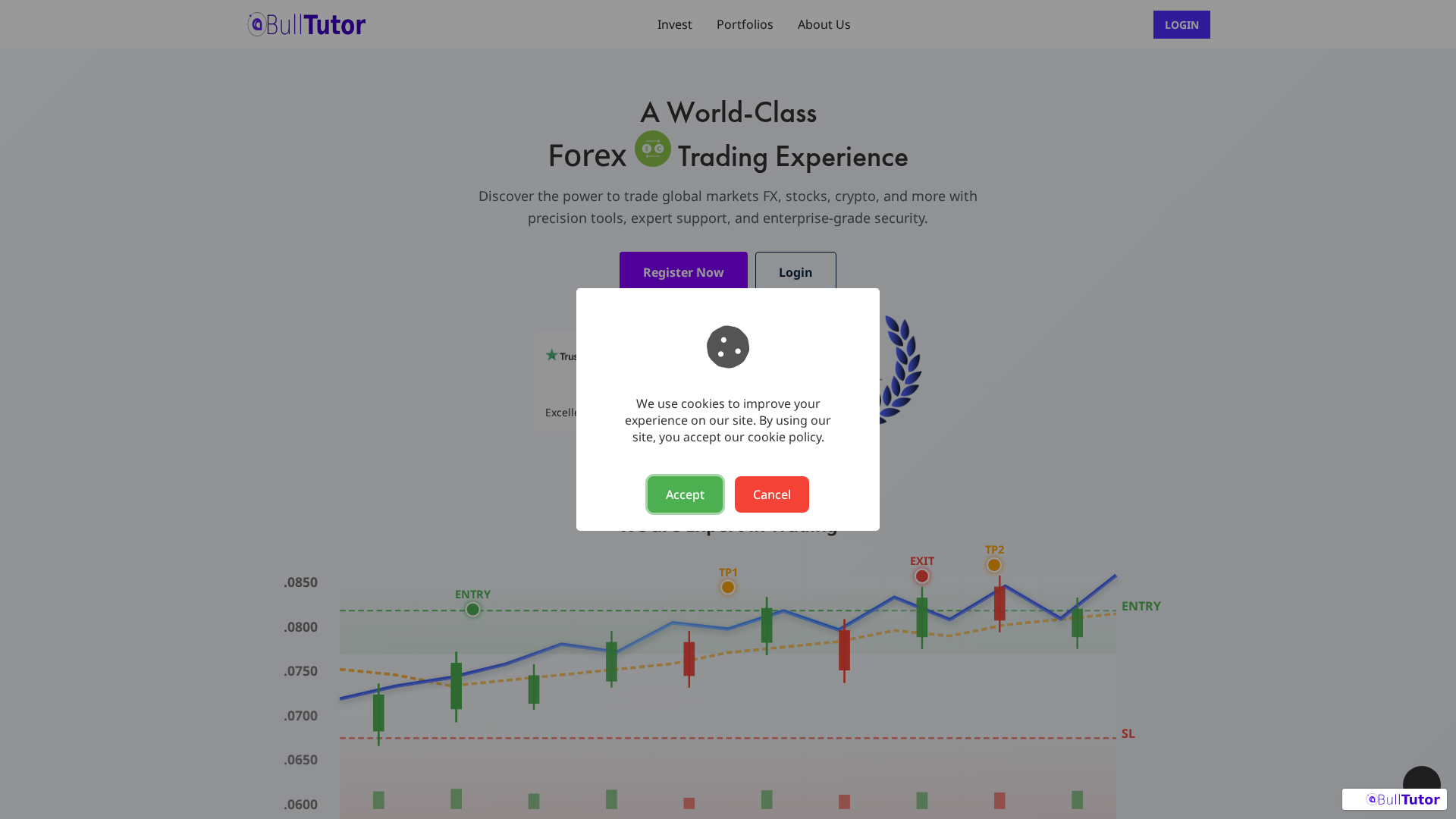 Screenshot of bulltutorproledger.com