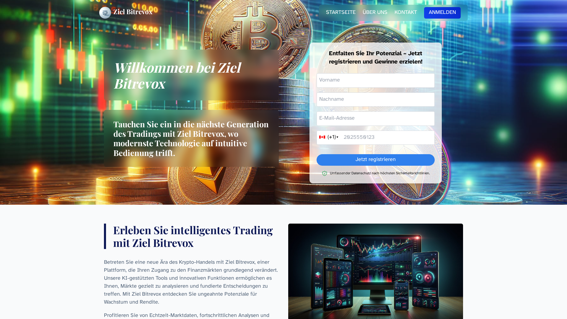 Screenshot of ziel-bitrevox-ch.org