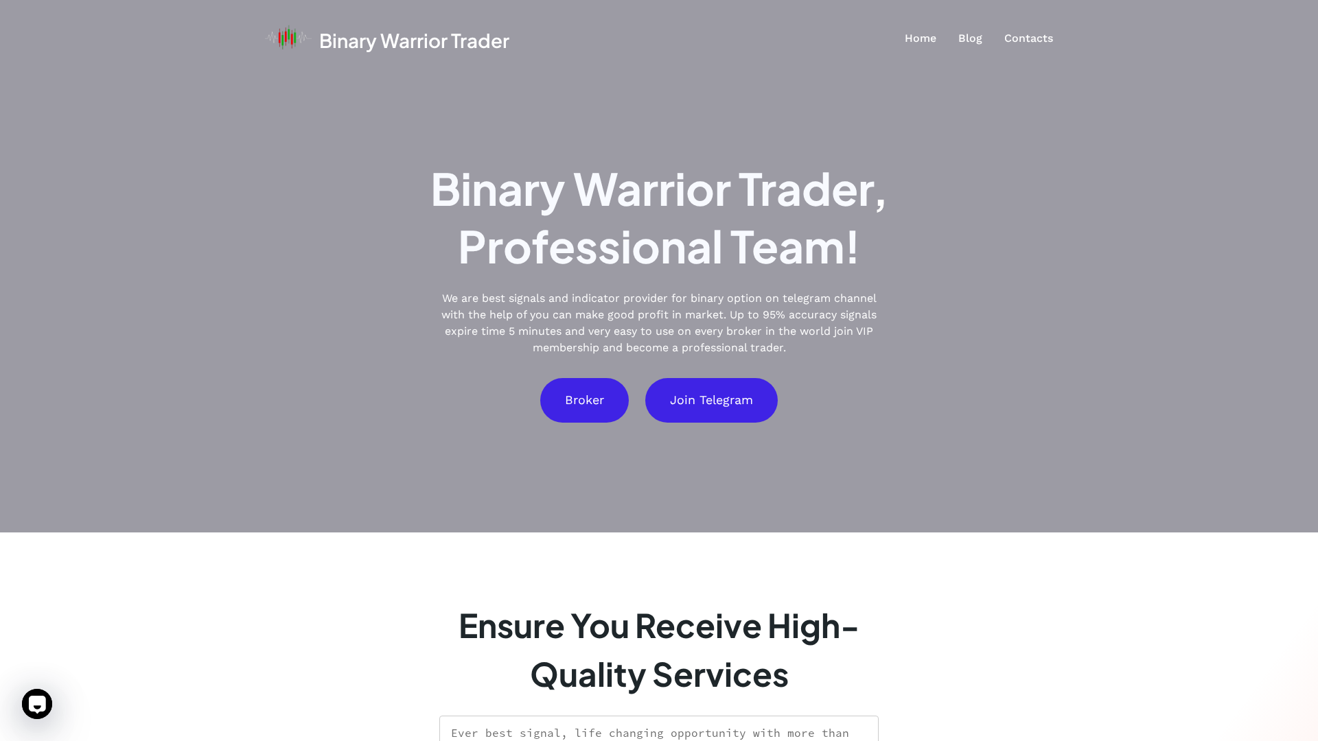 Screenshot of binarywarriortrader.com