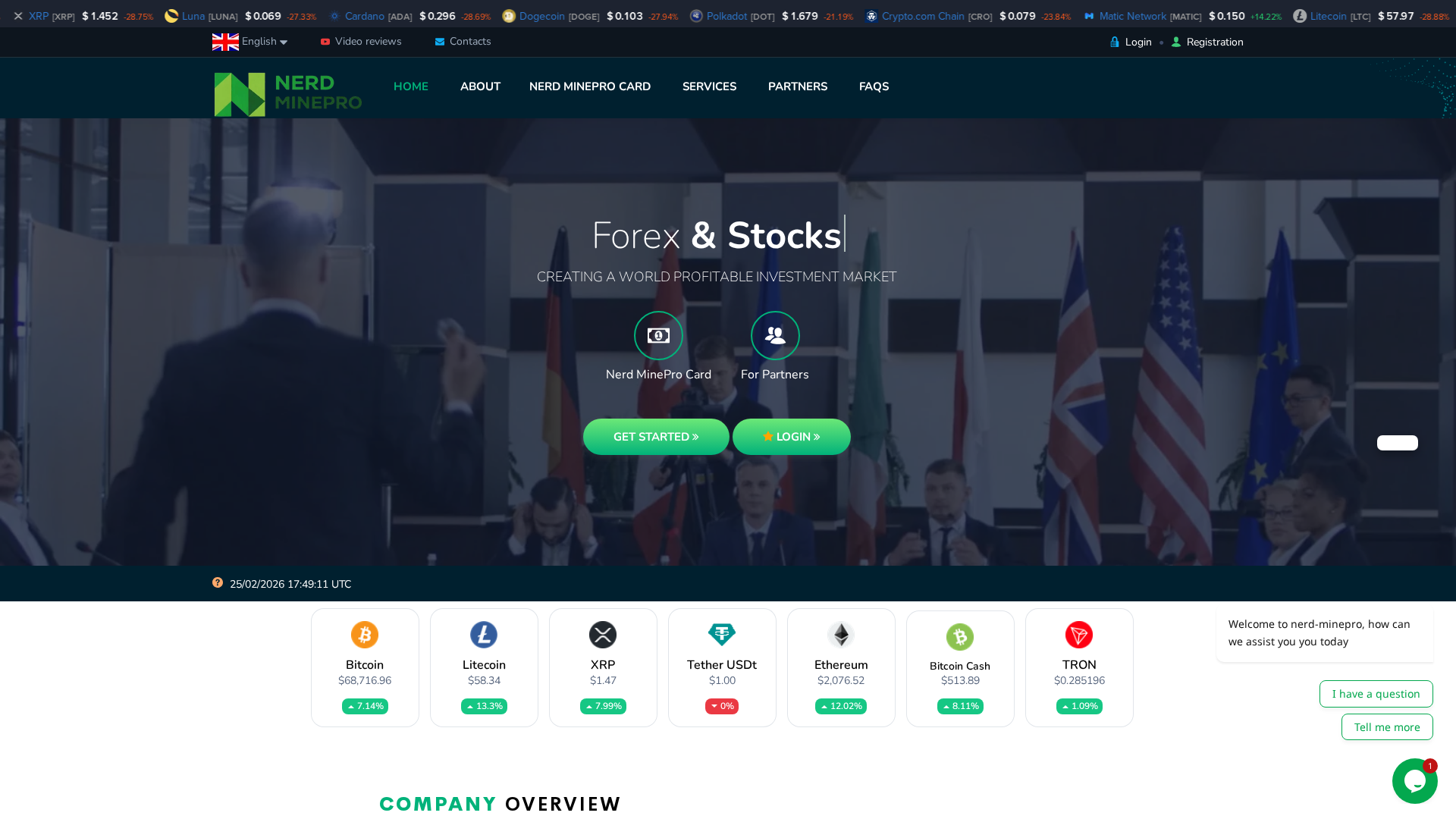 Screenshot of nerd-minepro.ltd