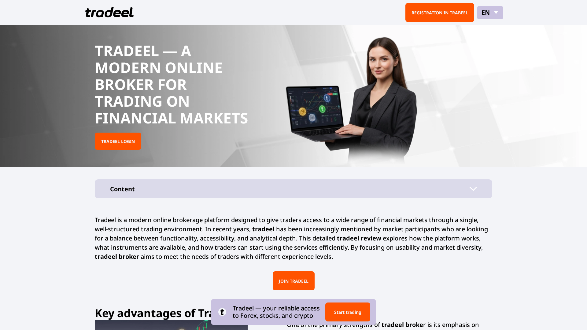 Screenshot of tradeel-company.org