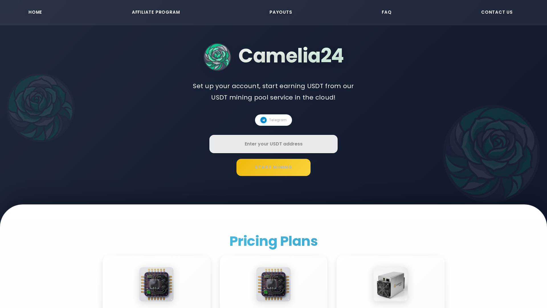 Screenshot of camelia24.vip