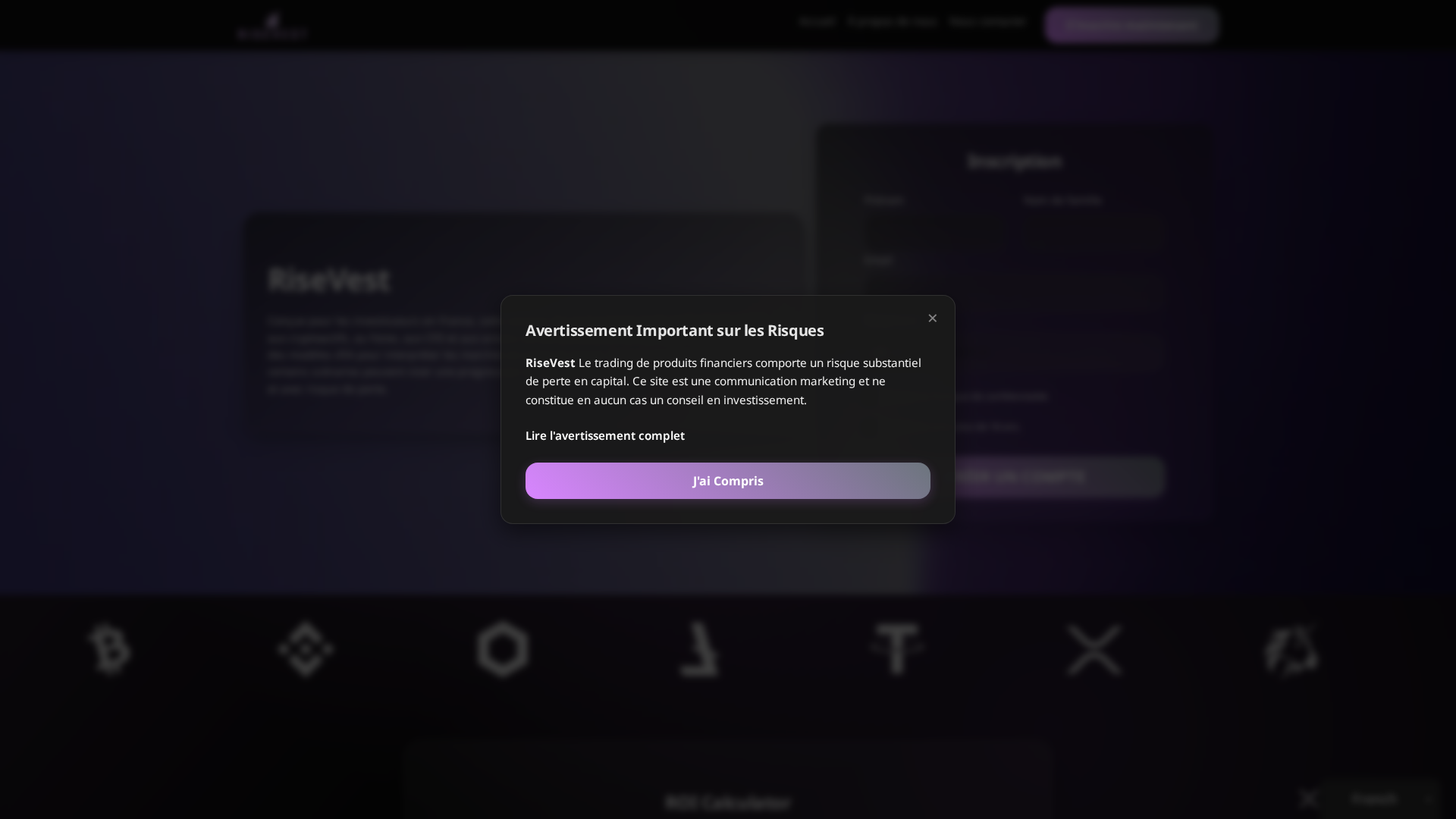 Screenshot of risevest-ai.org