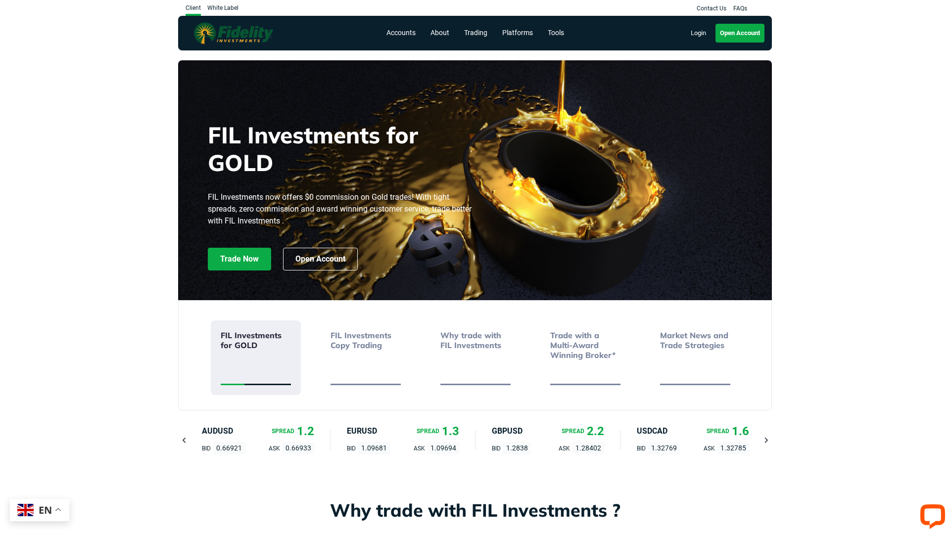 Screenshot of fillnvestmenstxsu.com