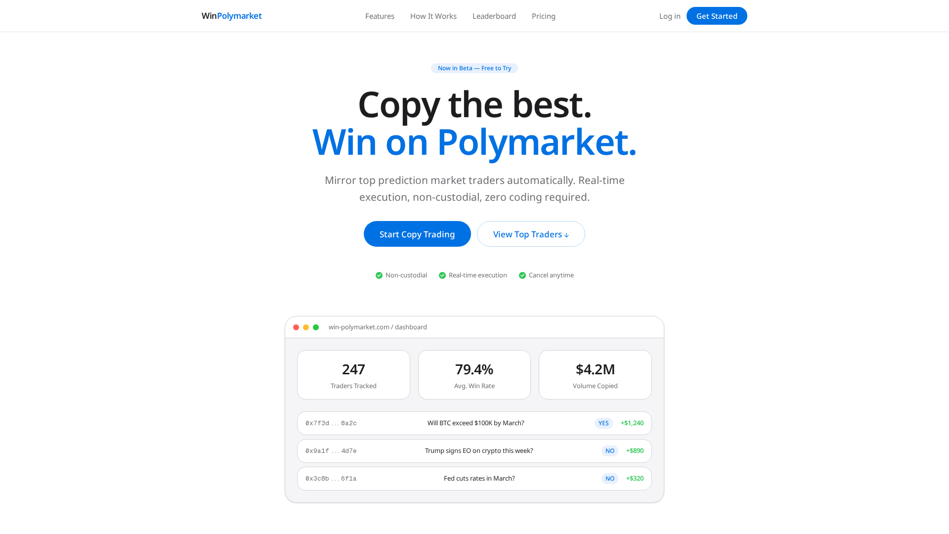 Screenshot of winpolymarket.com