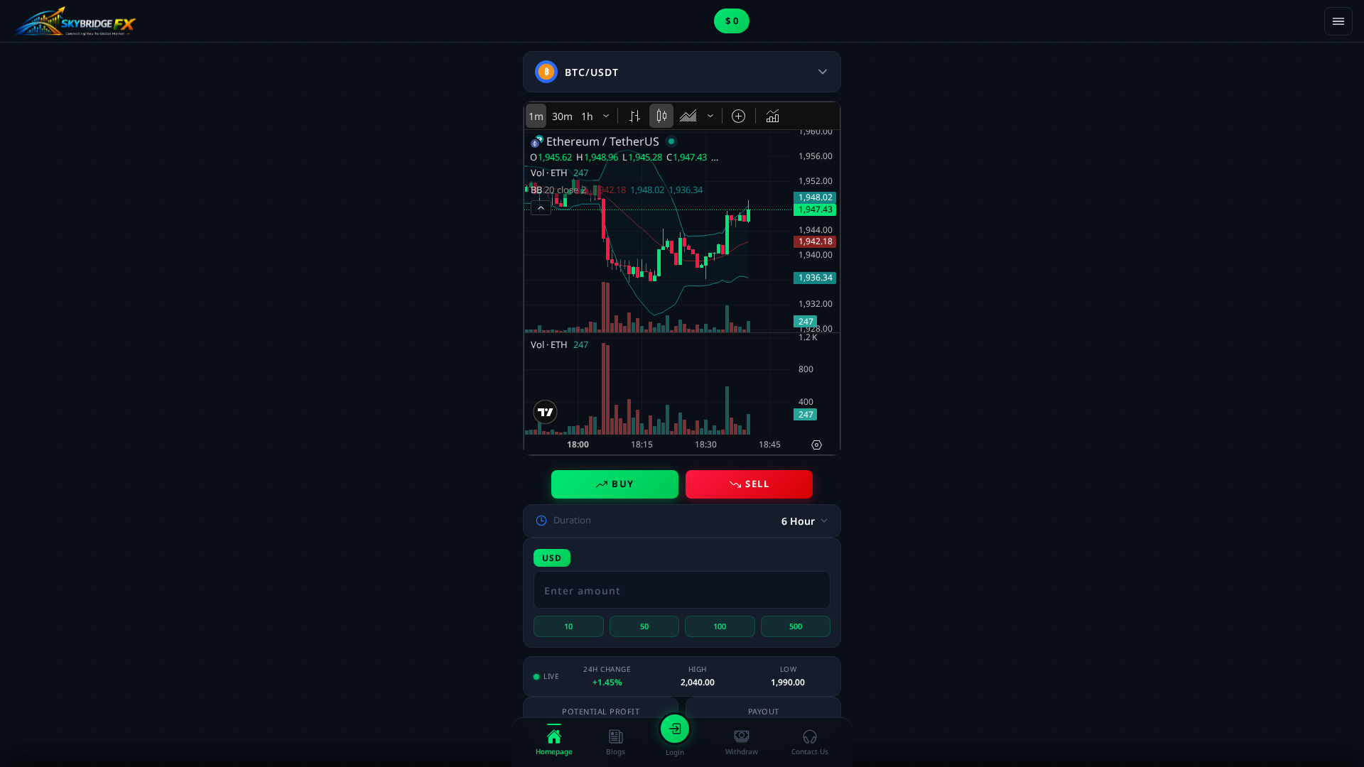 Screenshot of bridgeskyfx.online