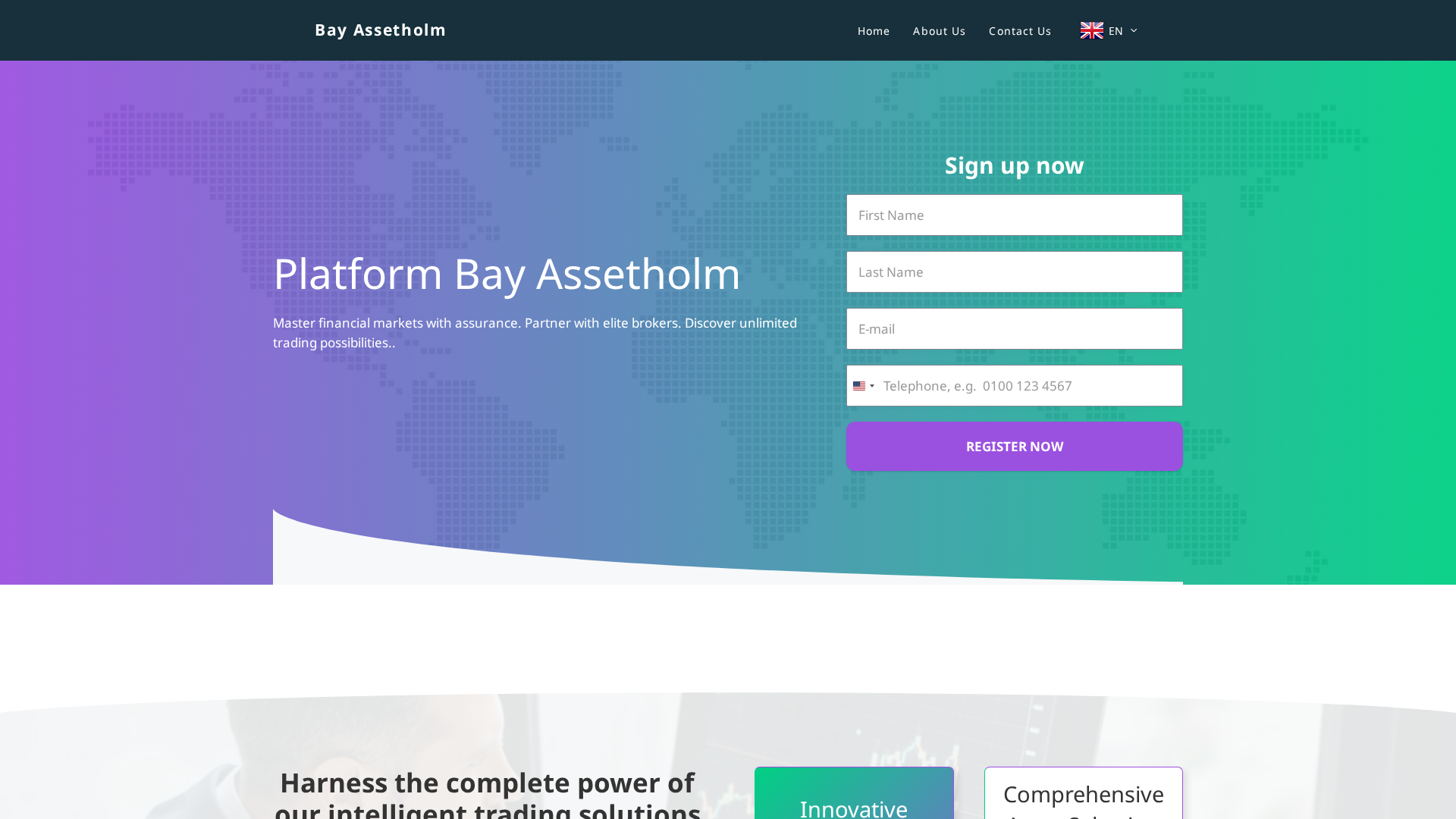 Screenshot of bayassetholm-en.com