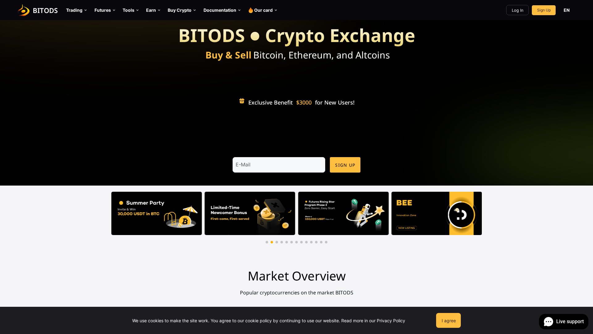 Screenshot of bitods.com
