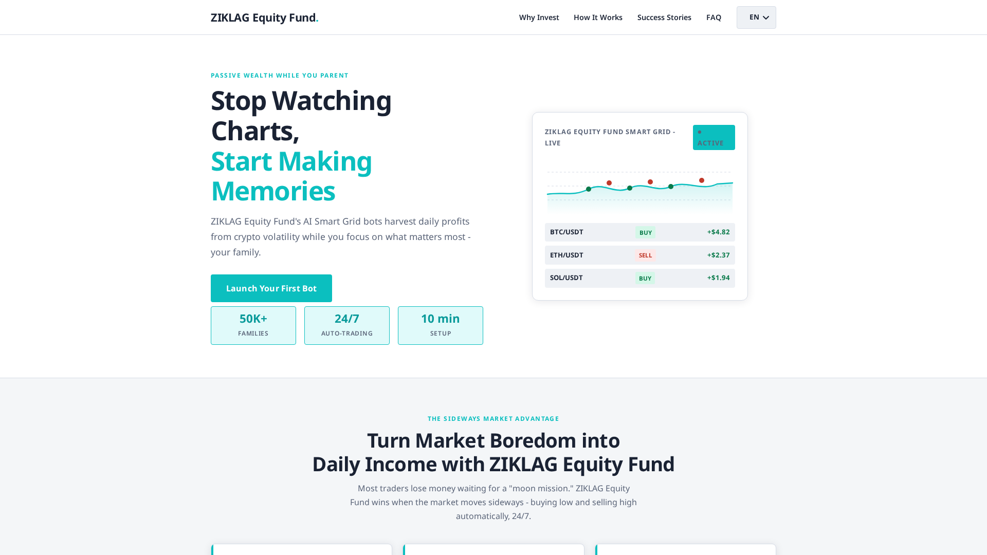 Screenshot of ziklag-equity-fund.net