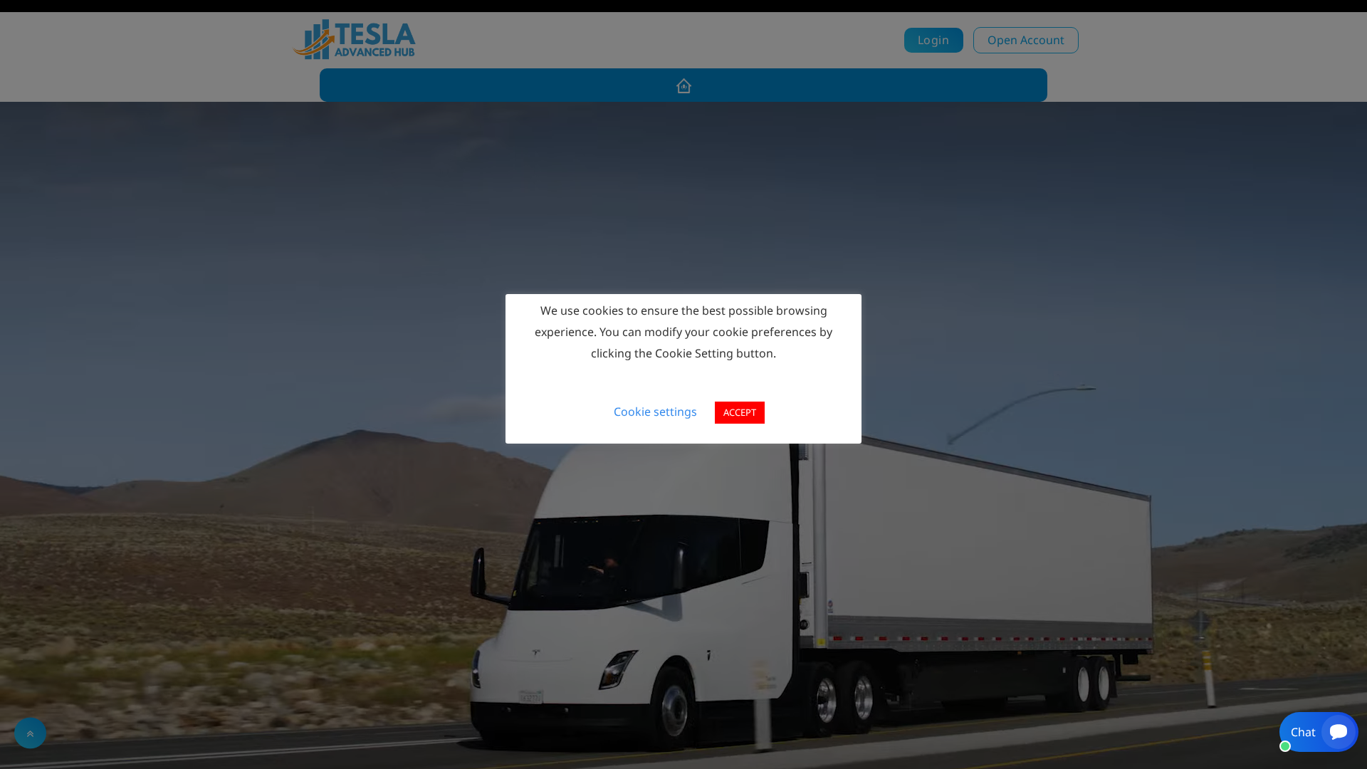 Screenshot of teslshareinv.com