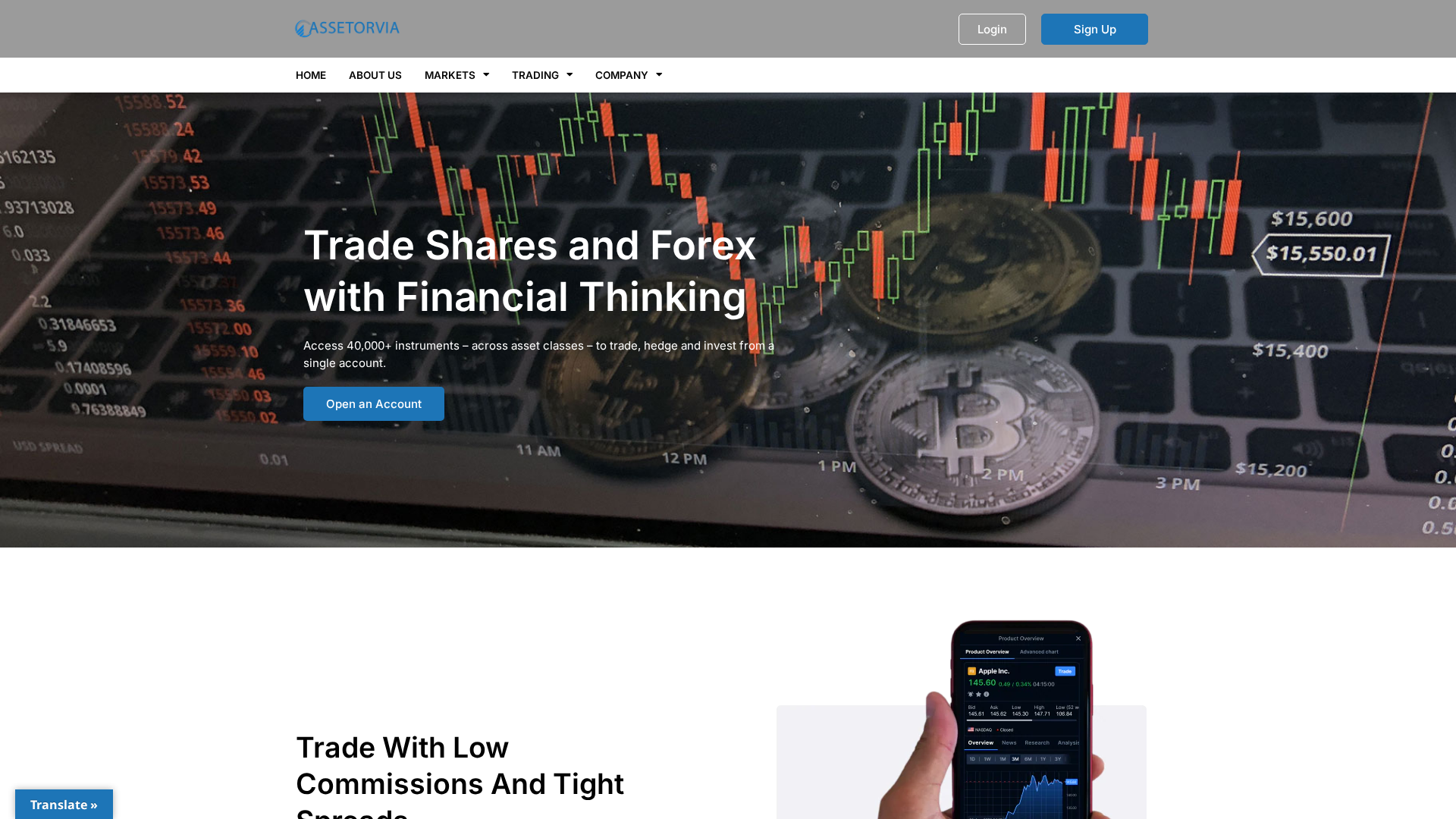 Screenshot of assetorvia.com