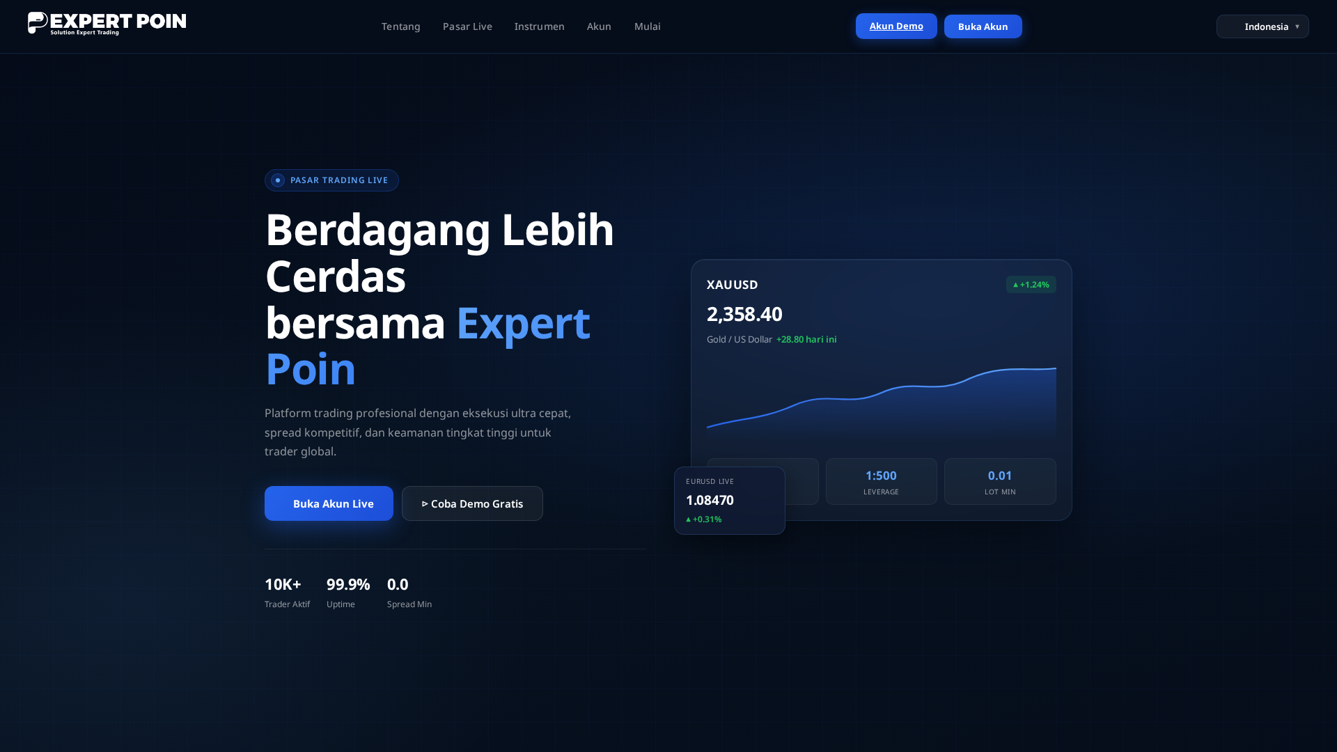Screenshot of expertpoin.com