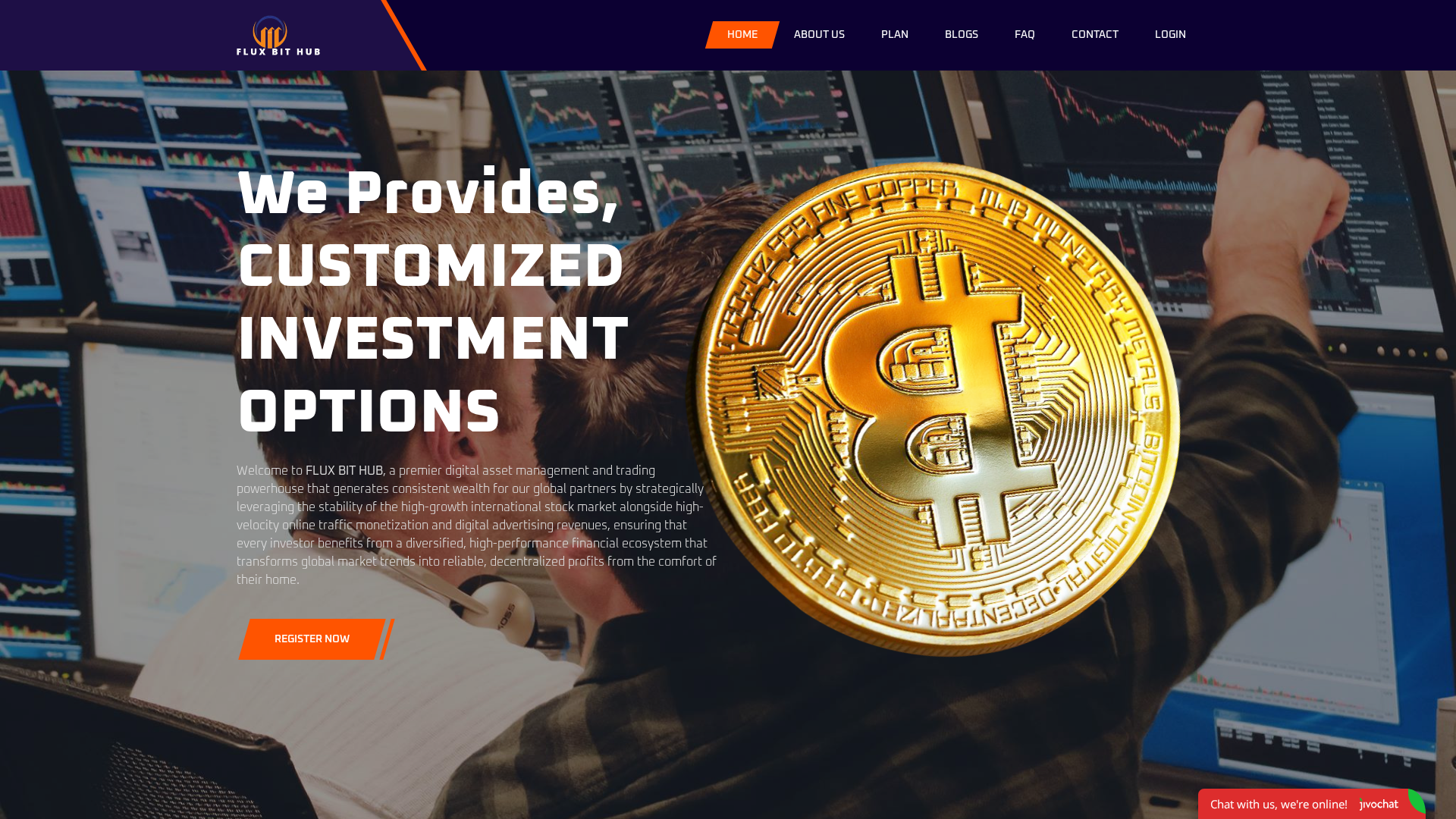 Screenshot of flxbithubs.name.ng