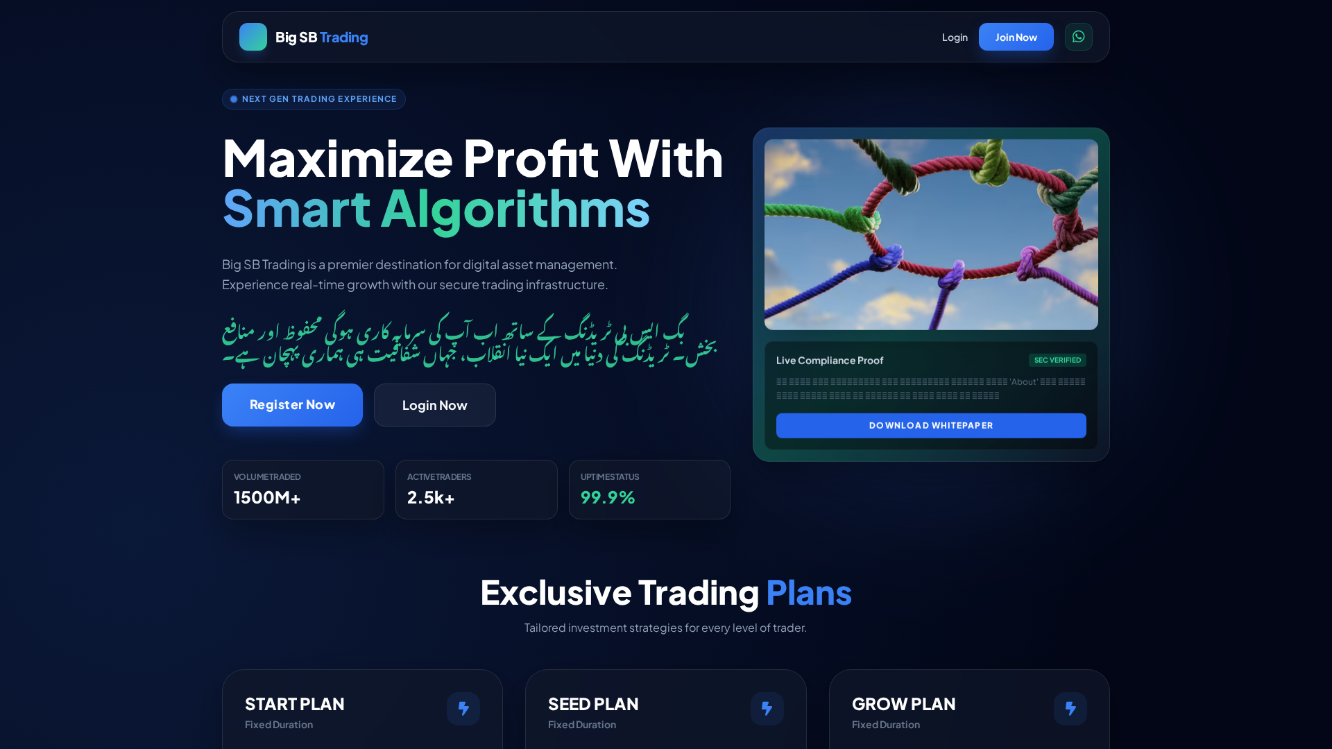 Screenshot of bigsbtrading.top