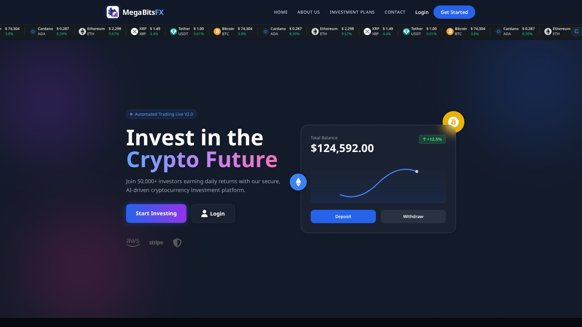 Screenshot of zenvoracapital.org