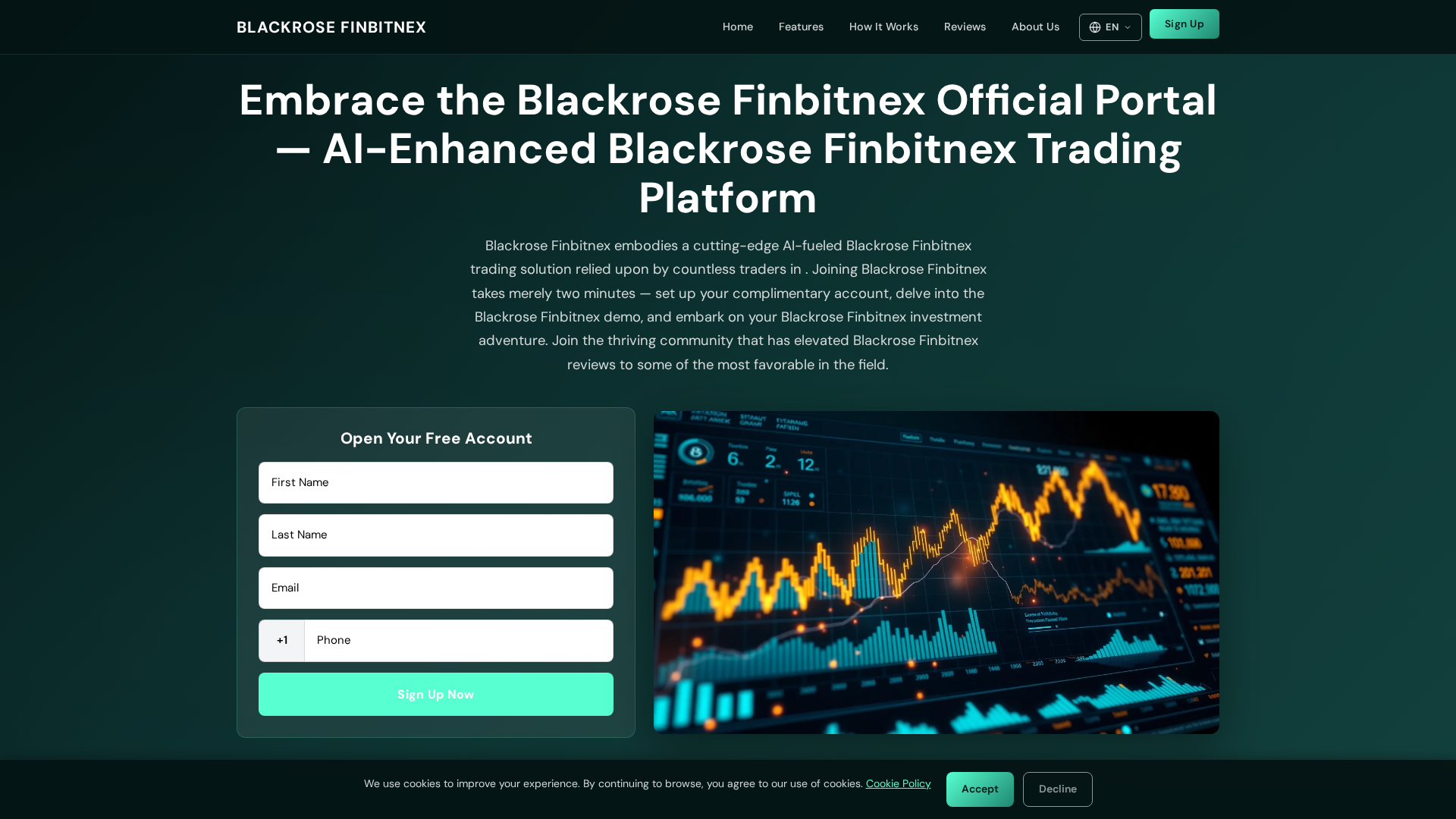 Screenshot of blackrosefinbitnex.online