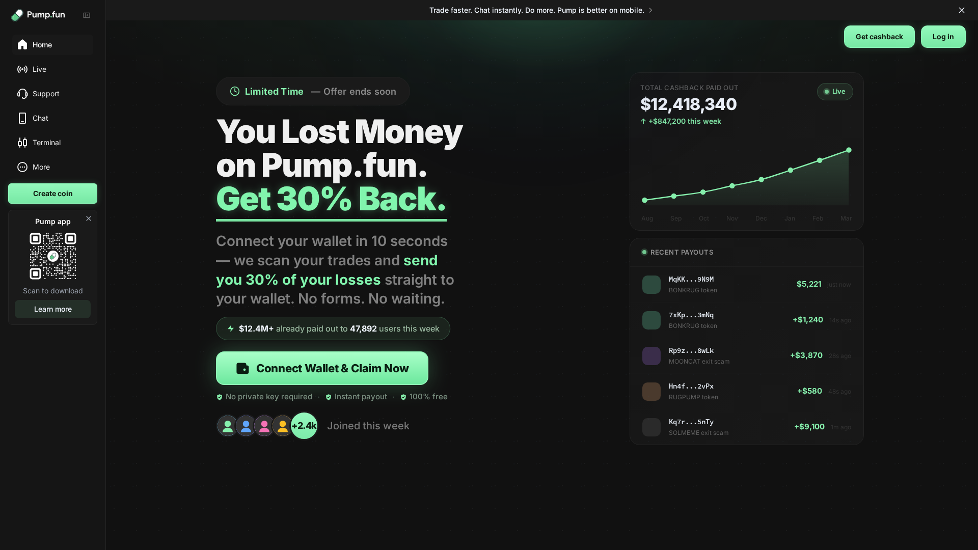 Screenshot of paybackpump.fun