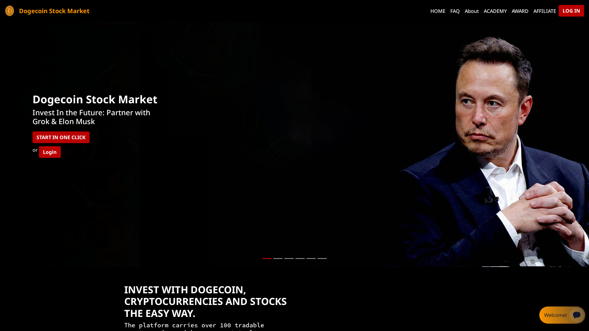 Screenshot of dogecoinstockmarket.com