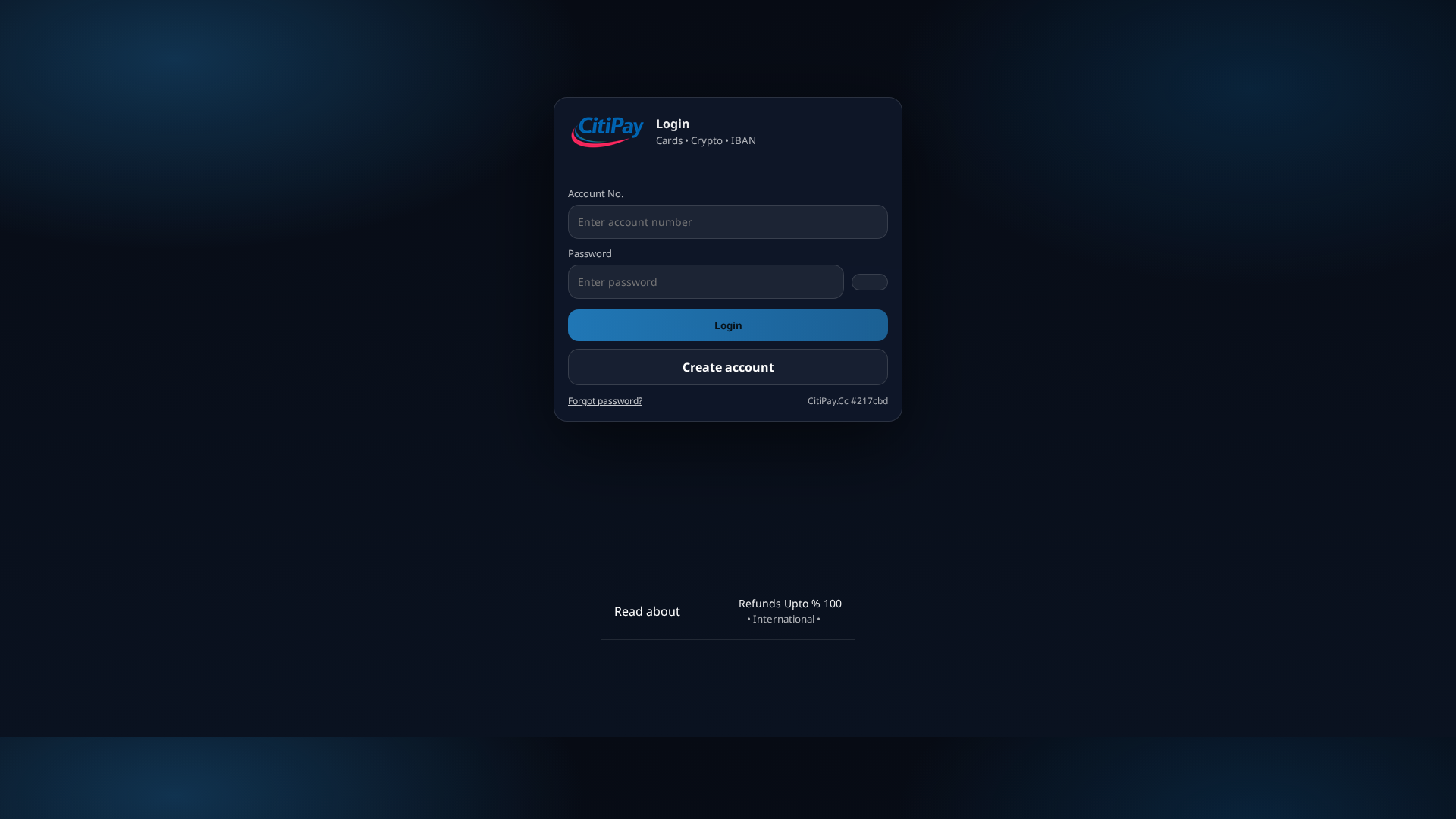Screenshot of citipay.online