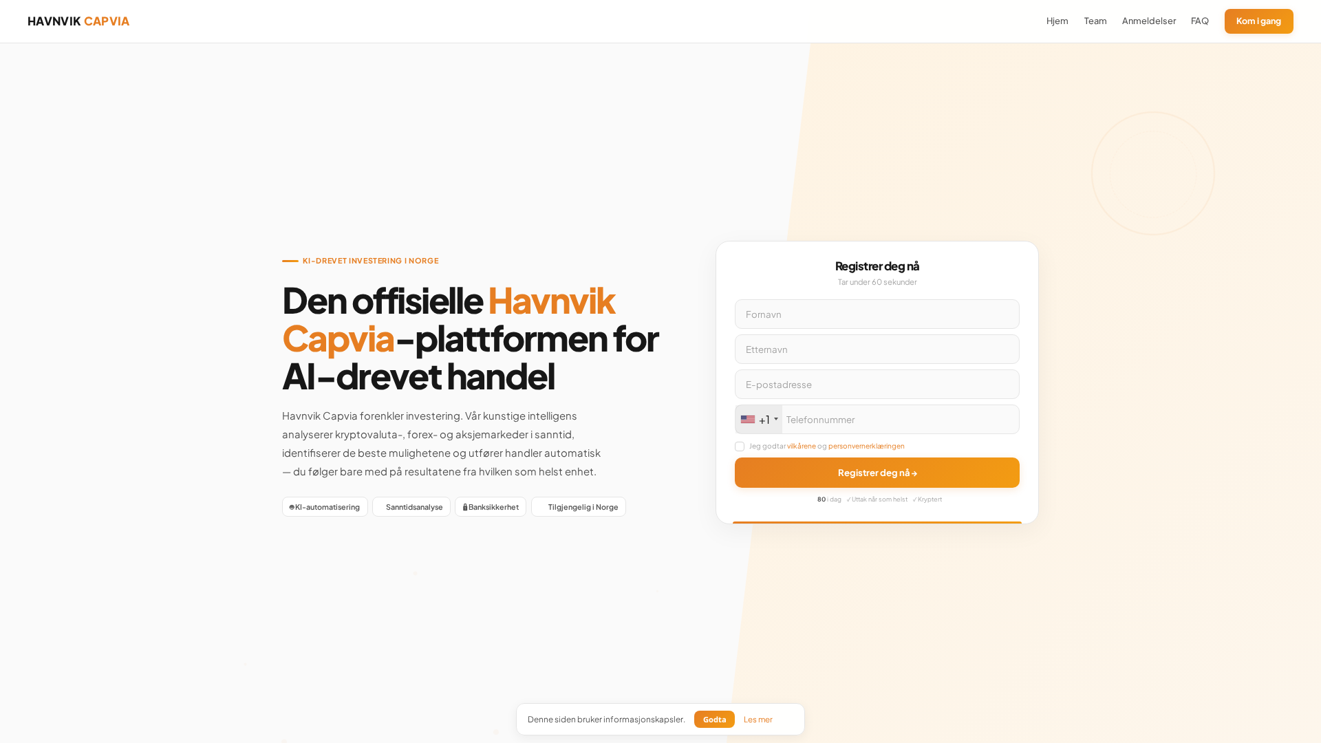 Screenshot of havnvik-capvia.net
