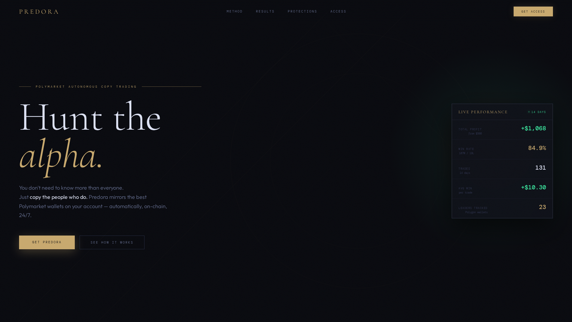 Screenshot of predora.pro