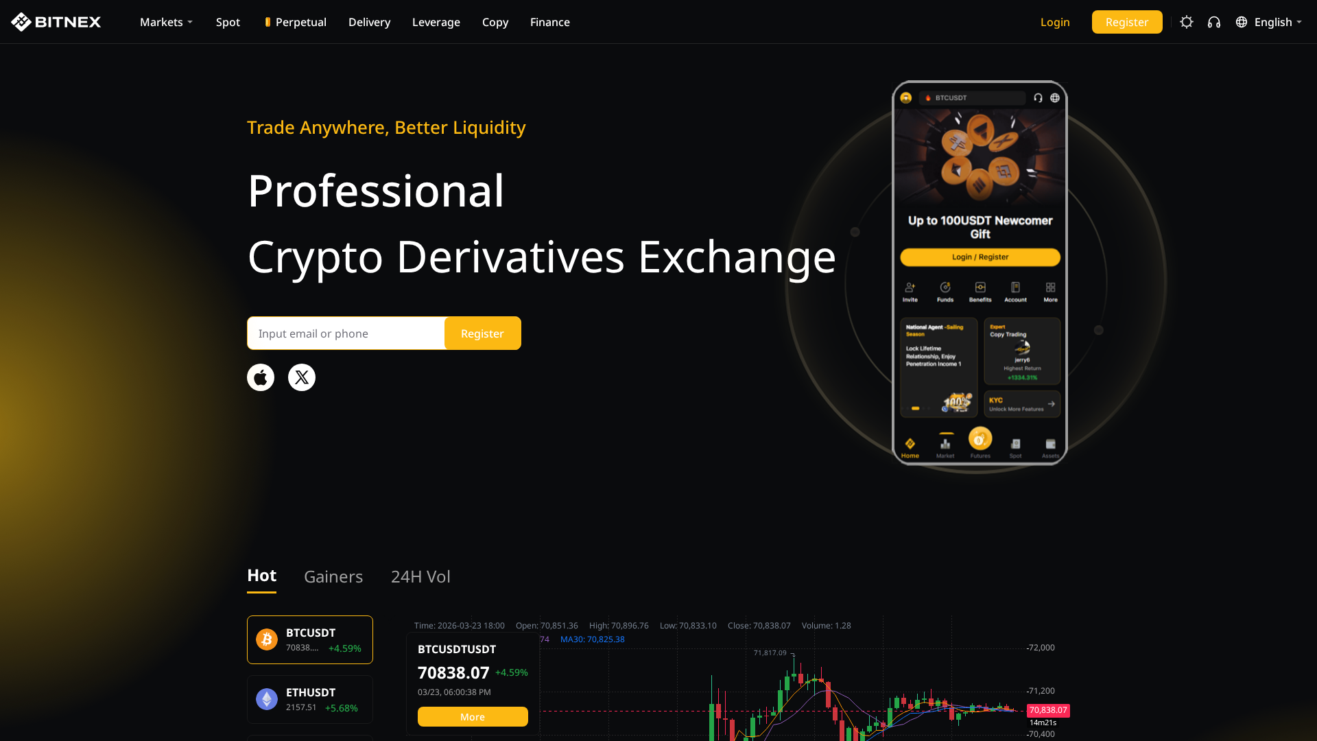 Screenshot of bitnex.vip