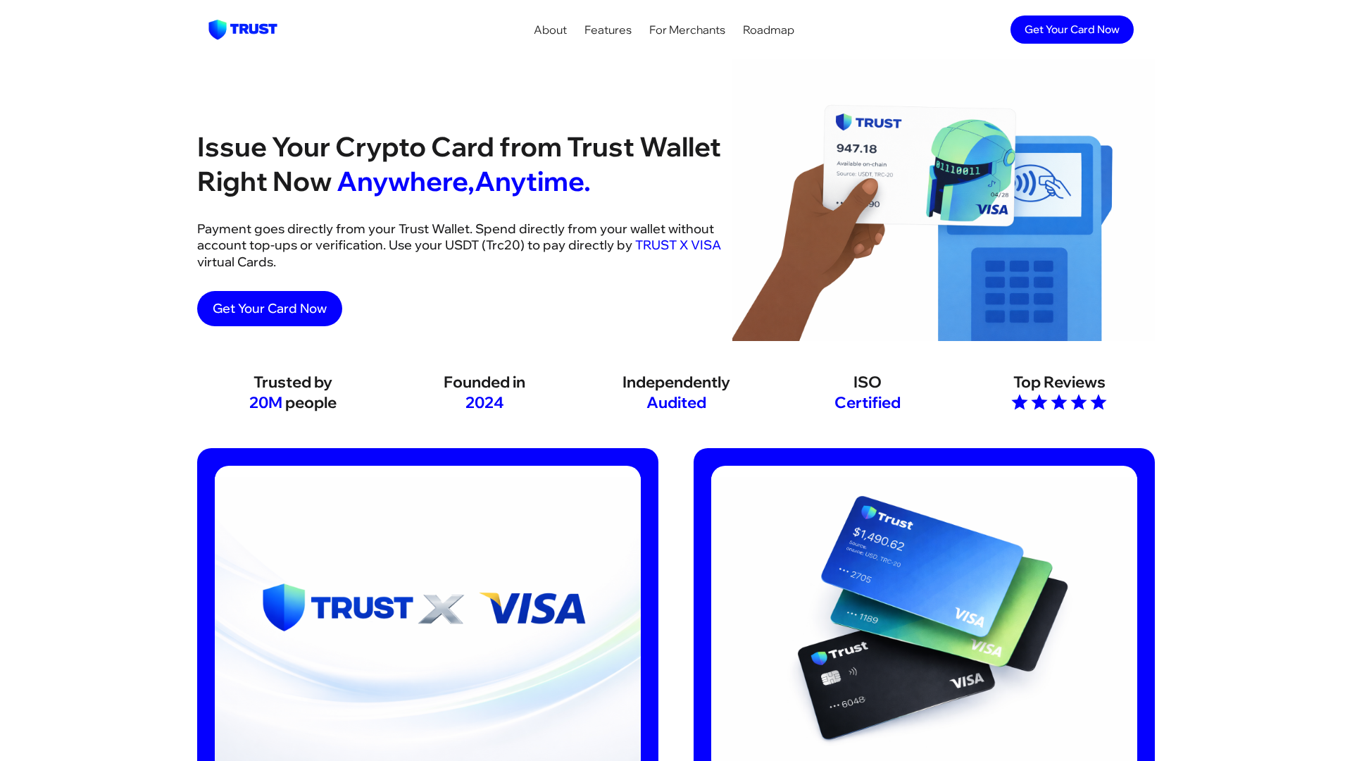 Screenshot of trustpaynow.online