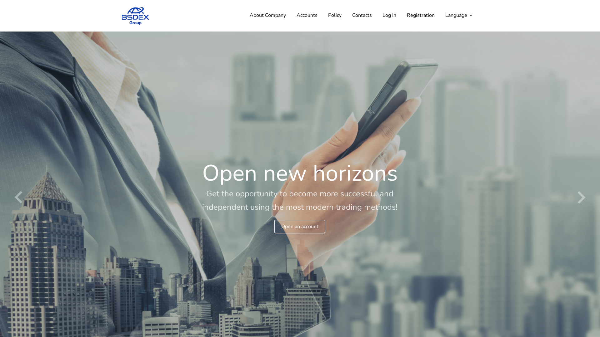 Screenshot of bsdexgroup.com