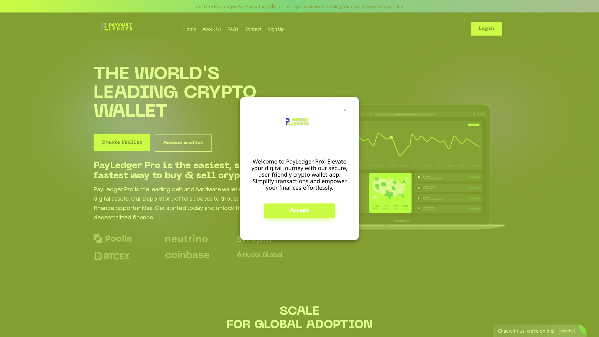 Screenshot of payvaultledger.pro