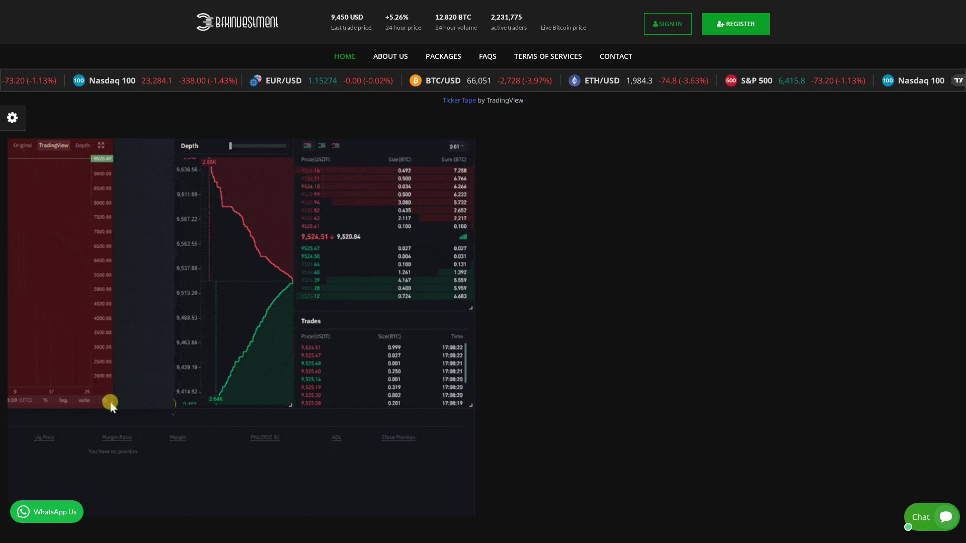 Screenshot of bxinvt.com