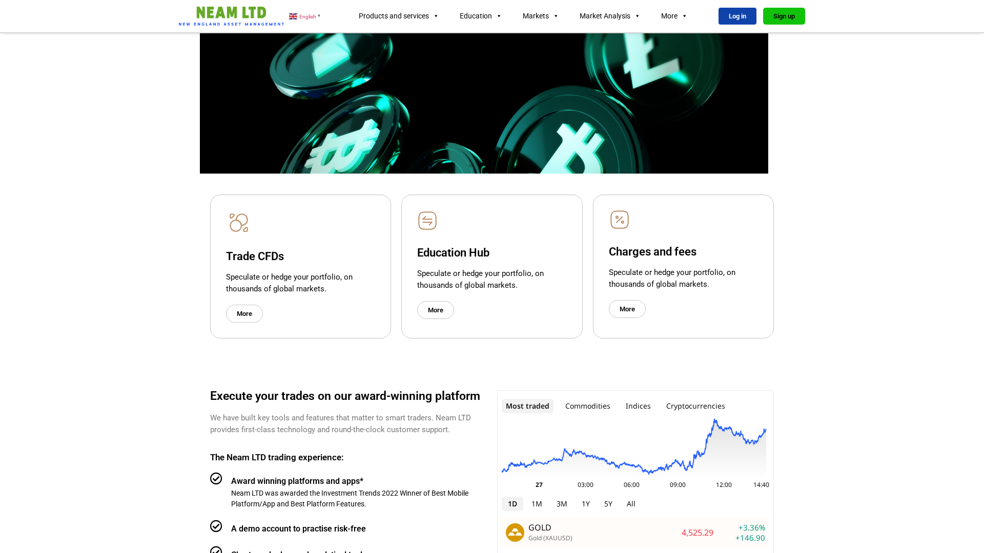 Screenshot of groupsneam-ltd.com