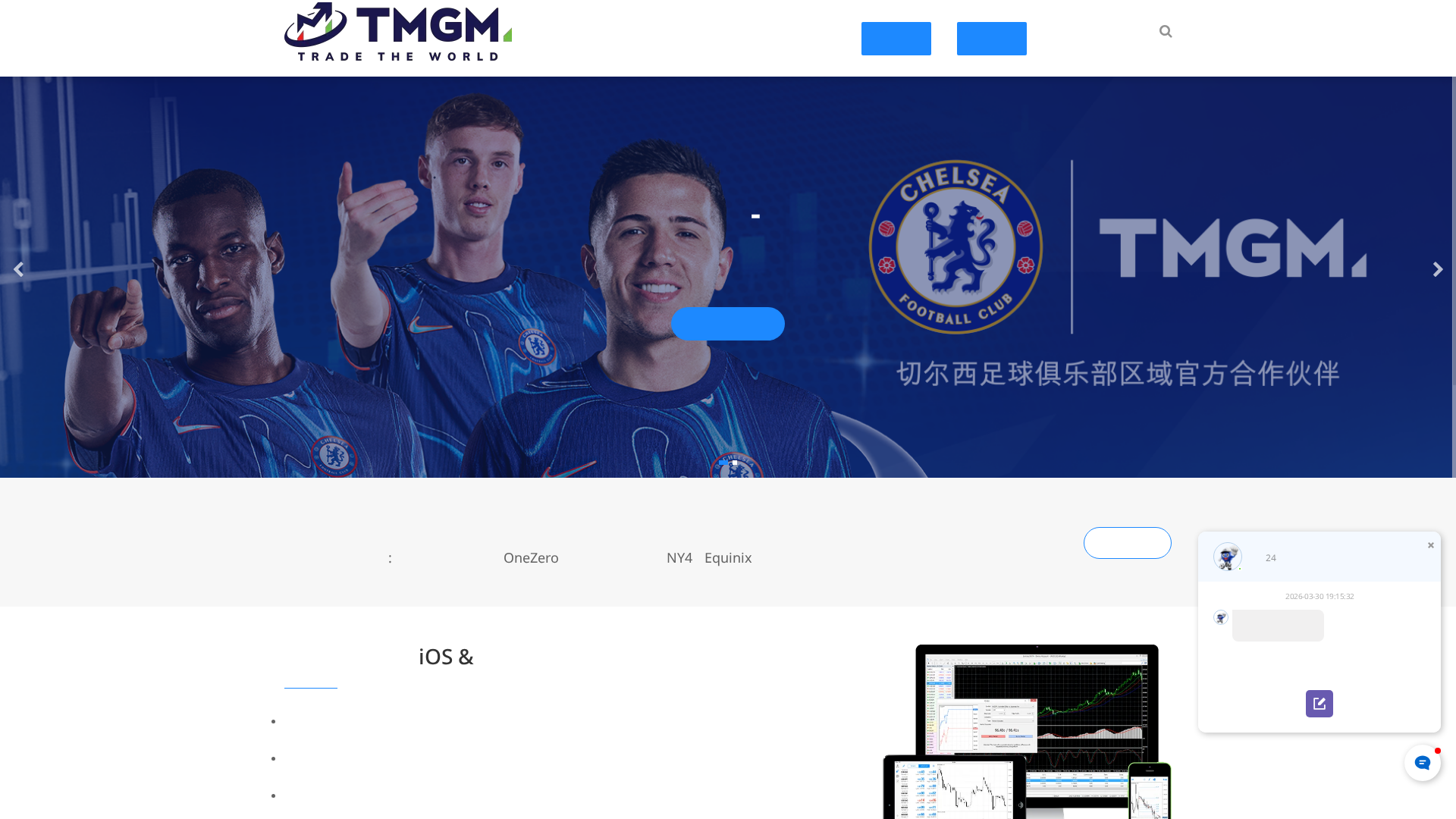 Screenshot of trademaxtmgmcn.com