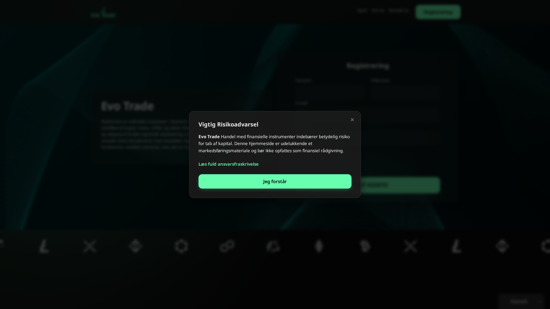 Screenshot of evo-trade.org
