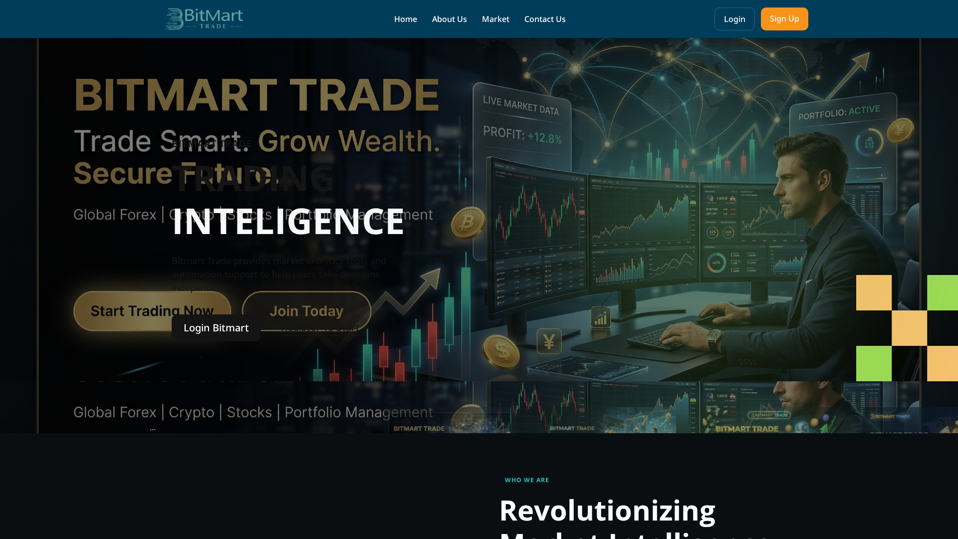 Screenshot of bmtrade.co