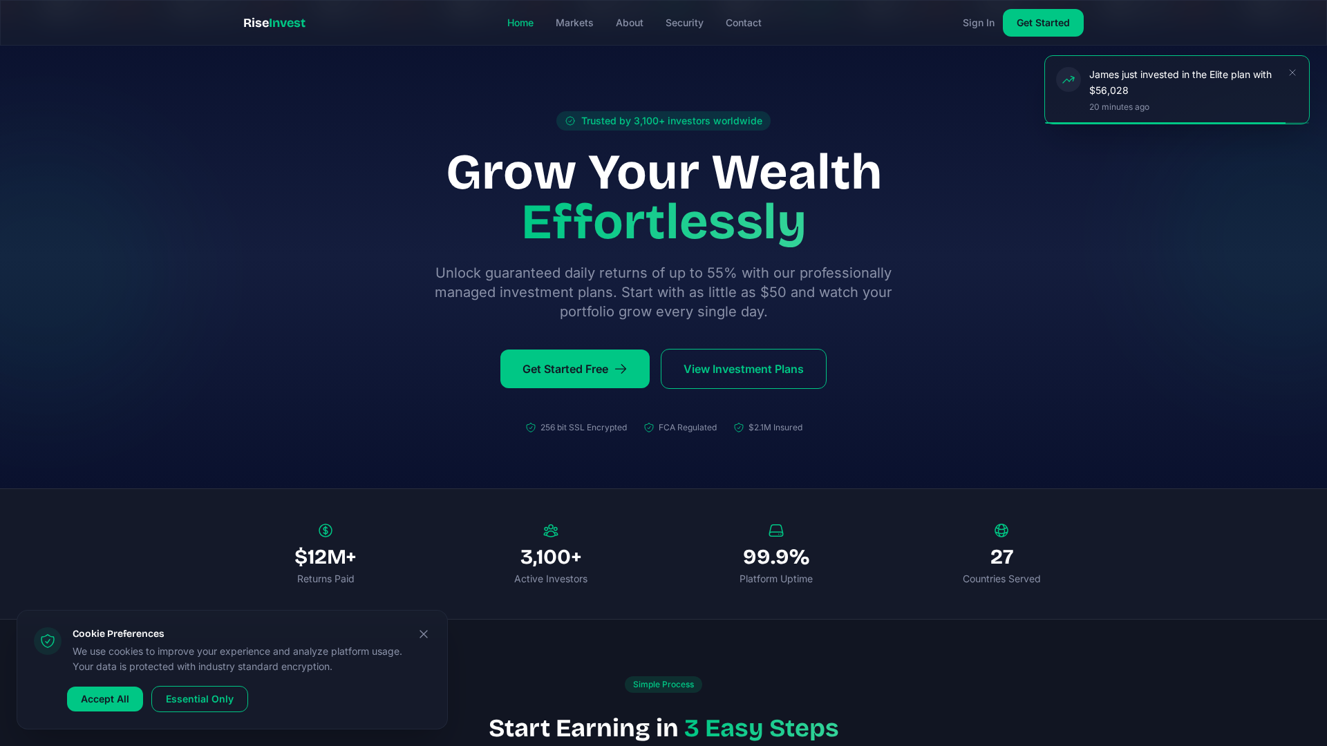 Screenshot of riseinvest.online