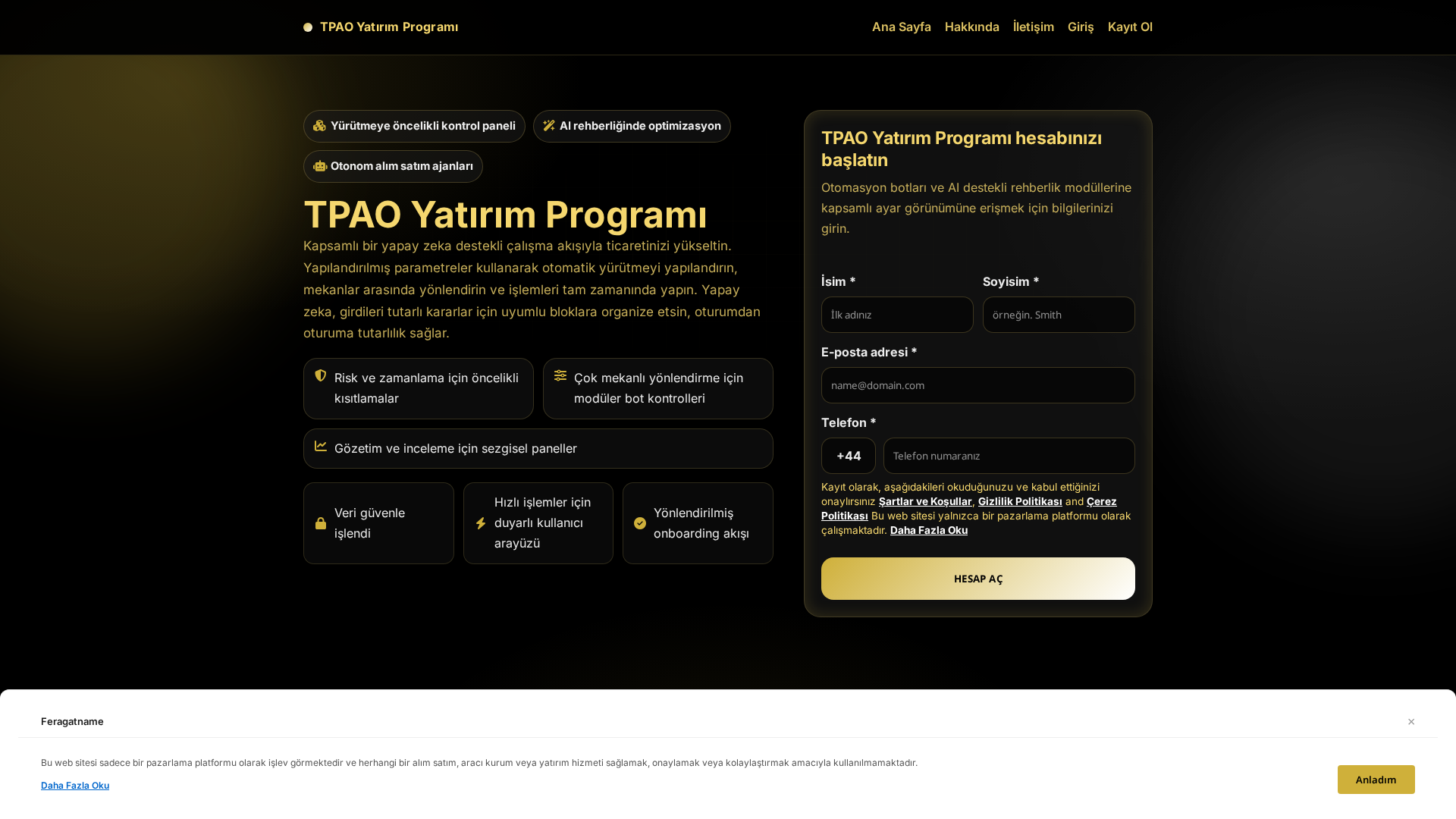 Screenshot of tpaoyatirimprogrami.pro
