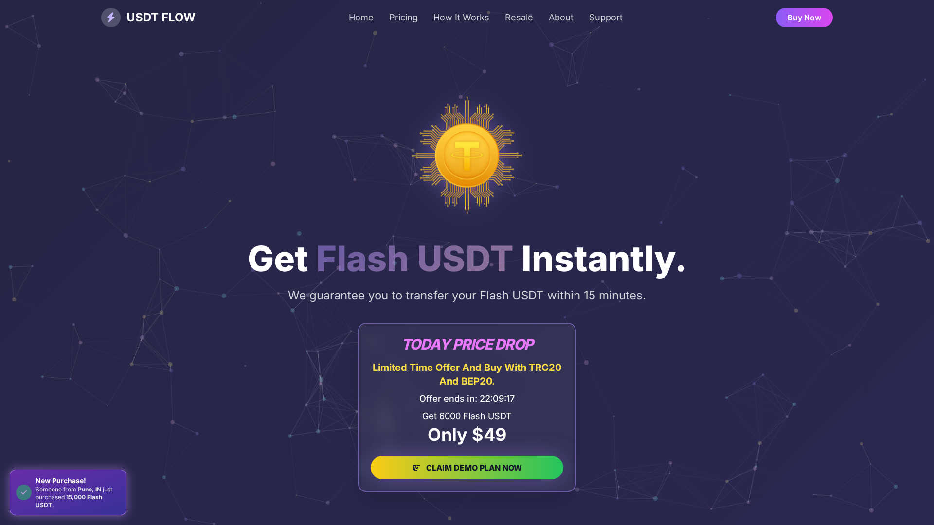 Screenshot of flashusdtprovider.pro