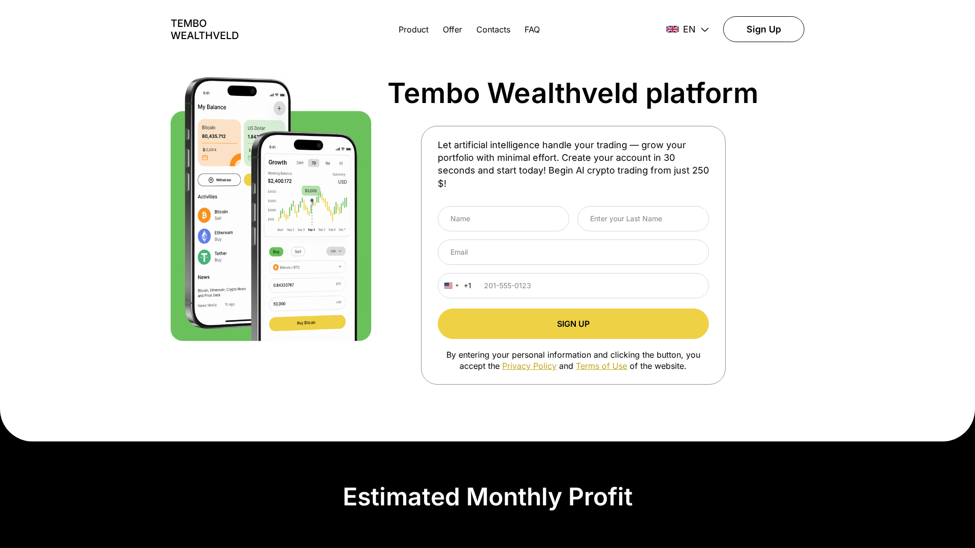 Screenshot of tembo-wealthveld.com