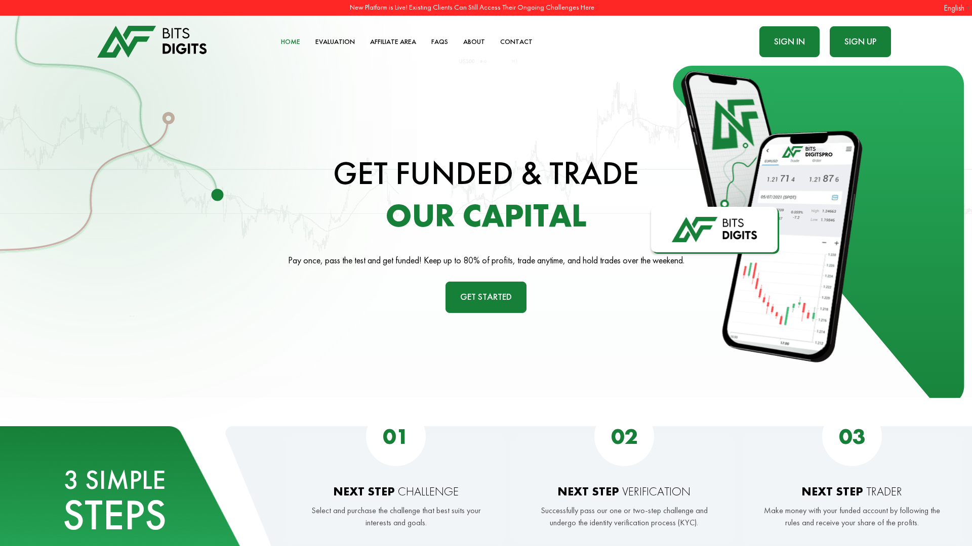 Screenshot of bits-digits.com