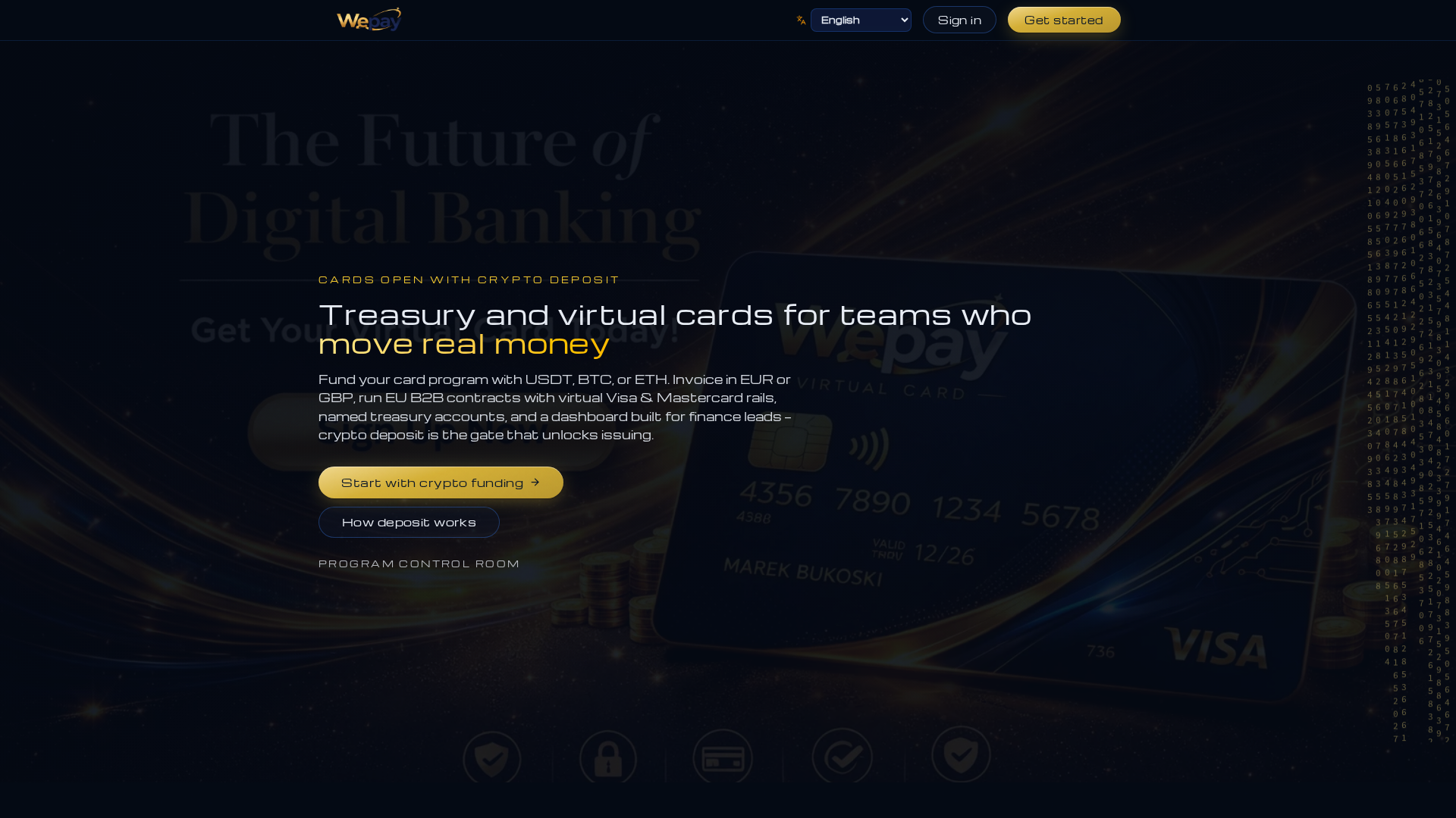 Screenshot of wepay.buzz