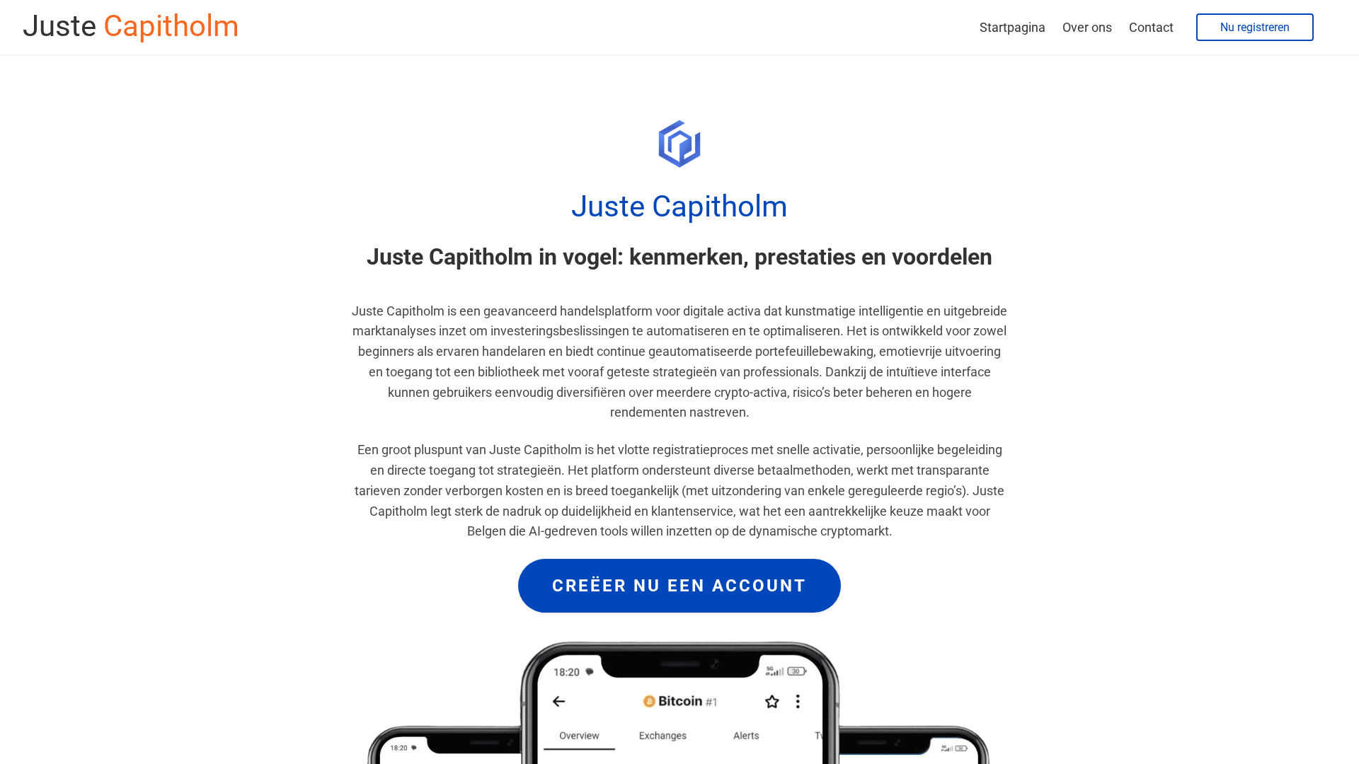 Screenshot of justecapitholm-be.com