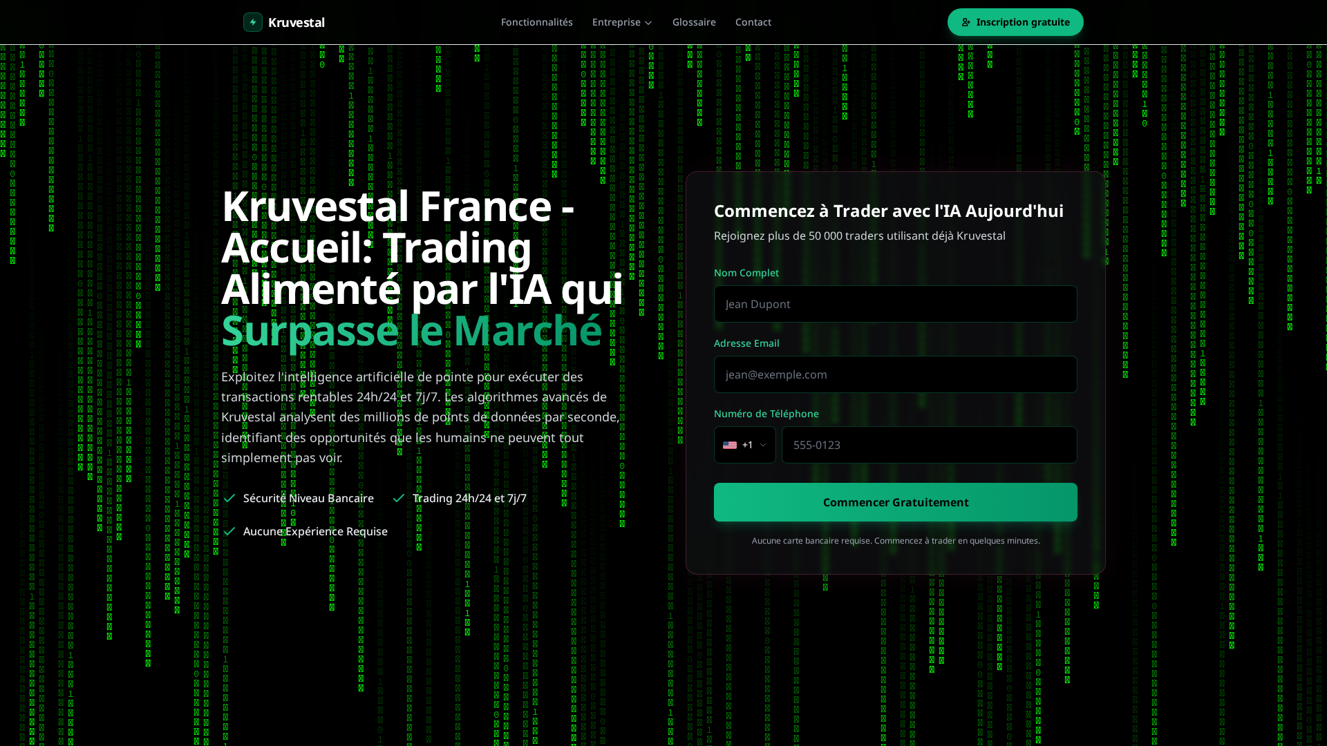 Screenshot of kruvestal-france.com