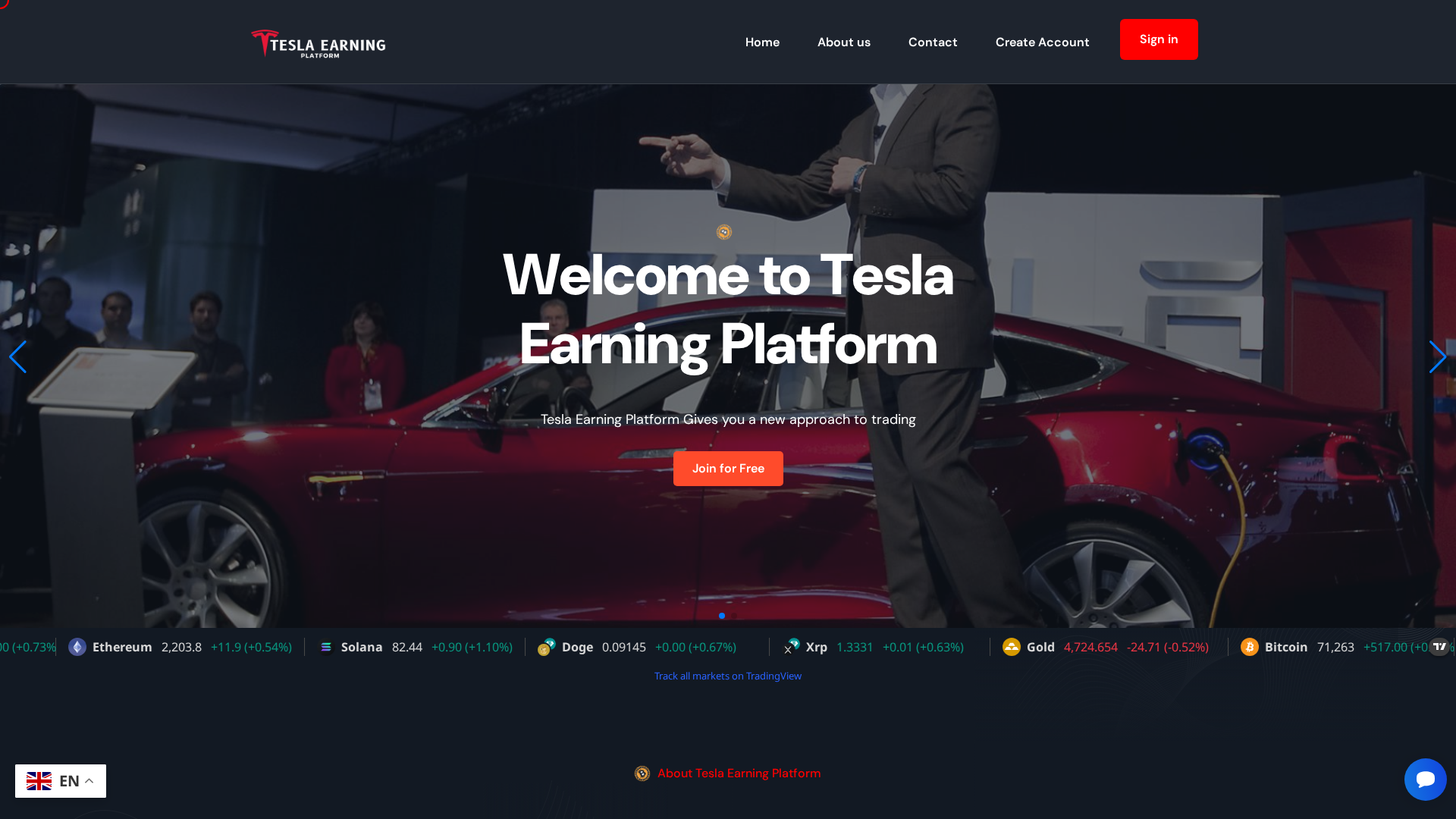Screenshot of tesearningplatform.com