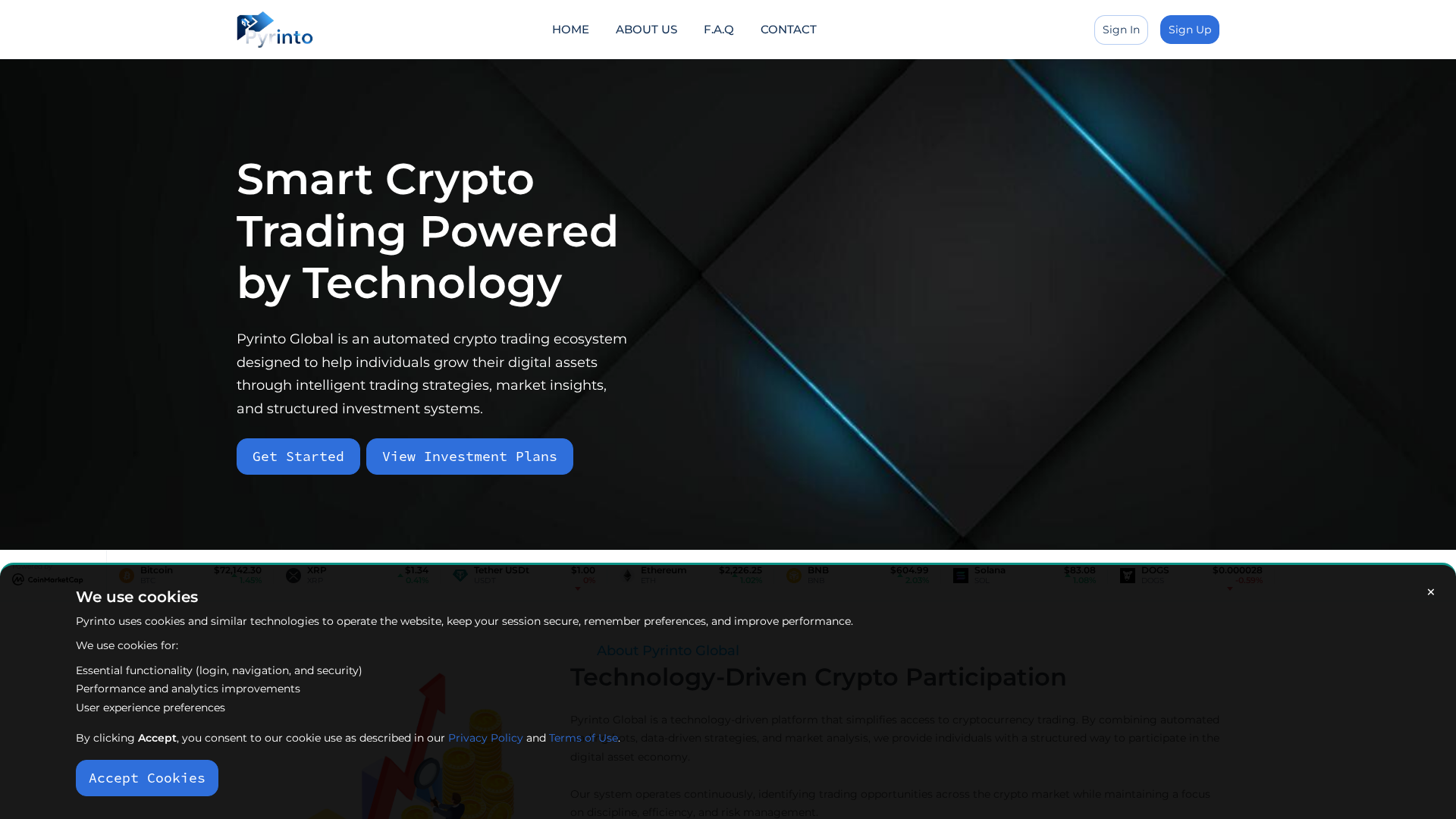 Screenshot of pyrintoglobal.com