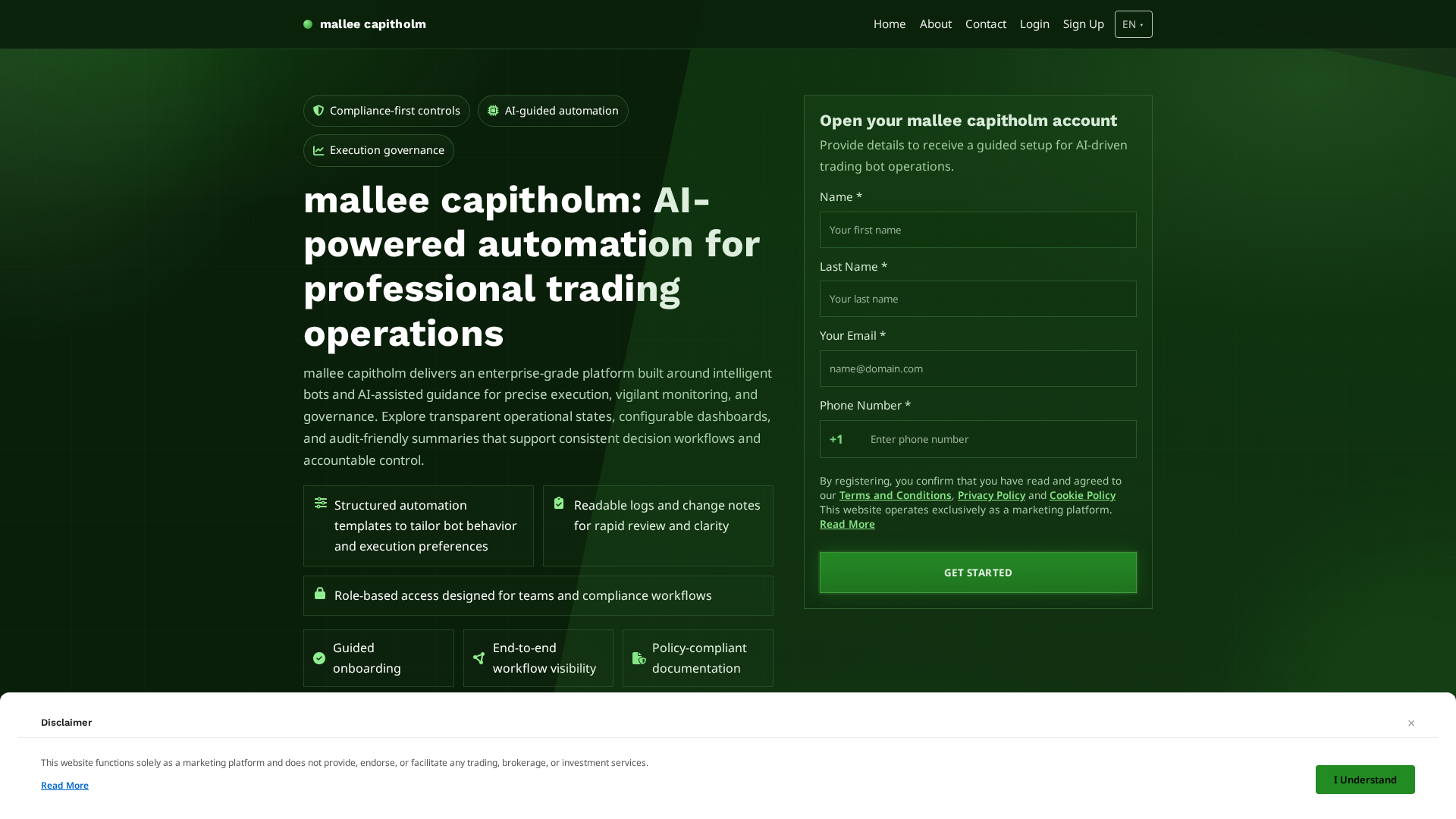 Screenshot of malleecapitholm.digital