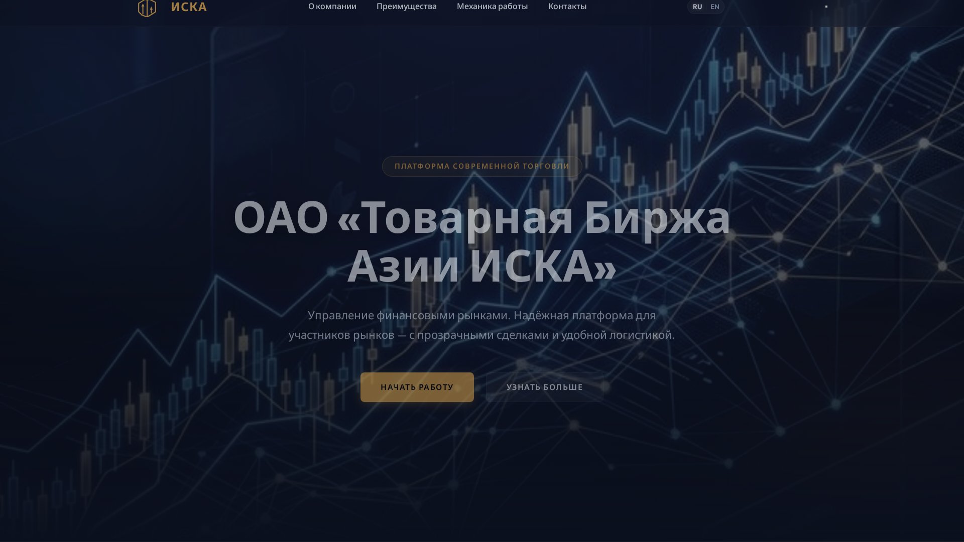 Screenshot of stockcompanyofasiaisca.space