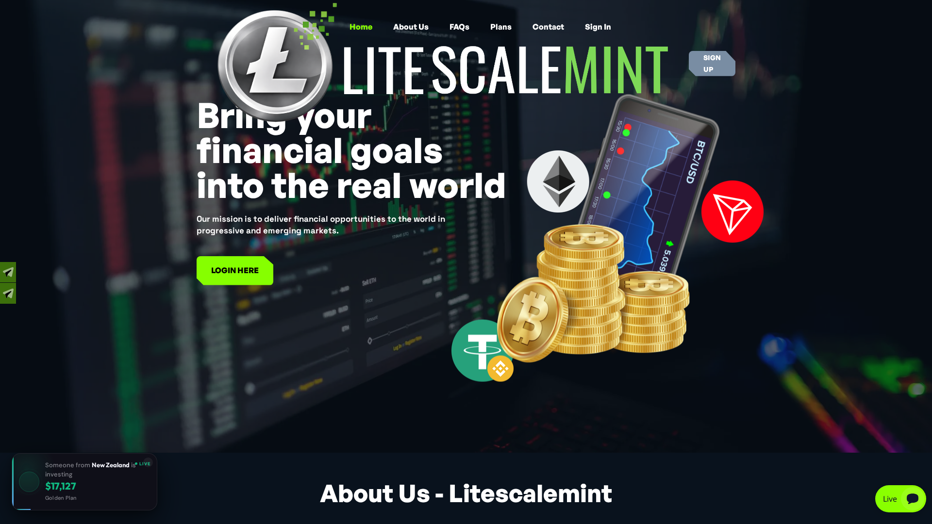 Screenshot of litescalemint.com
