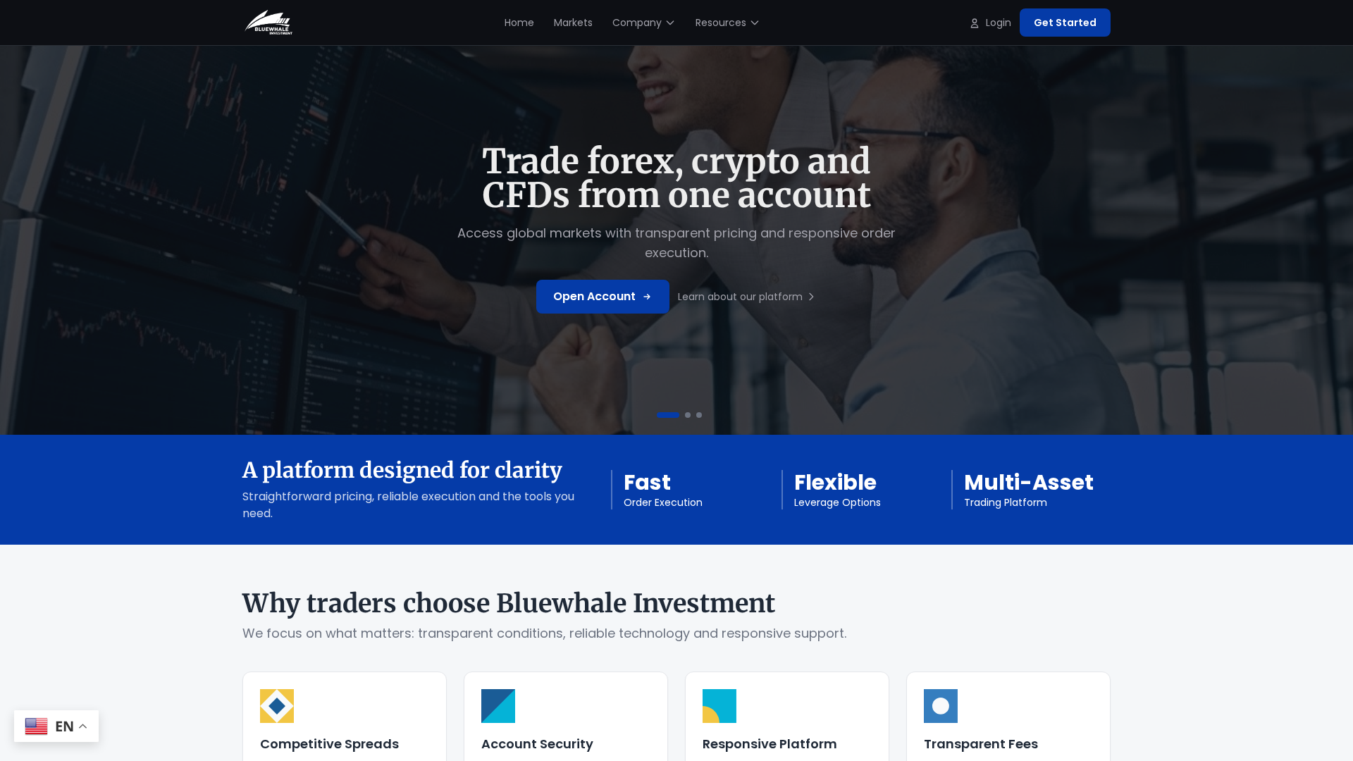 Screenshot of bluewhaleinvest.com