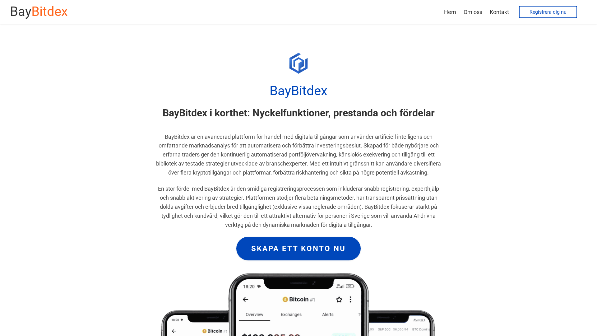 Screenshot of baybitdex-ai.com